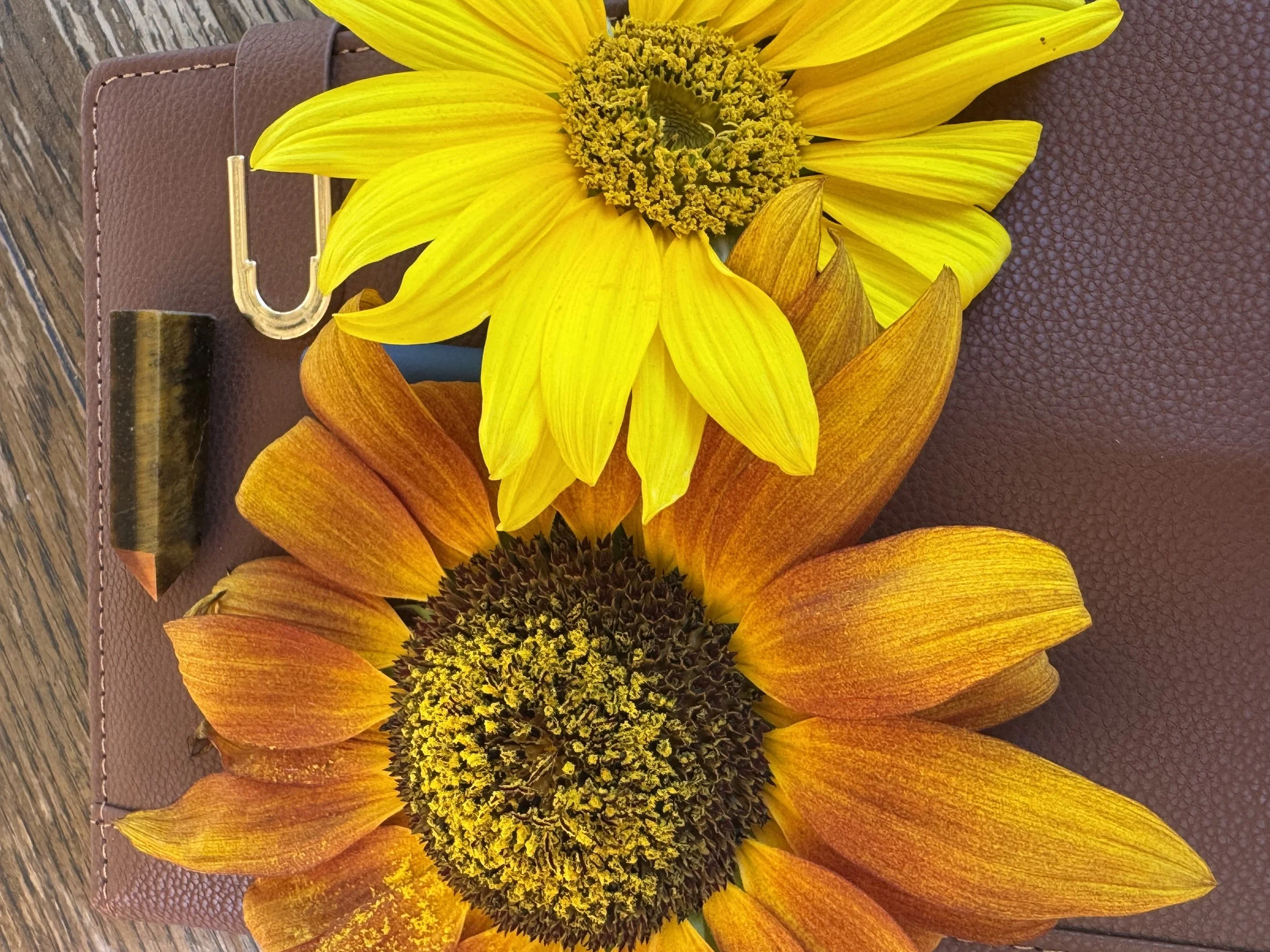 The Magic of August: Harvest, Starlight &amp; Sacred Transformation
