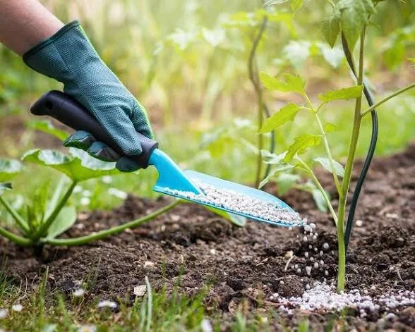 Mulching and Fertilising