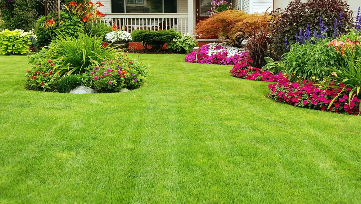 Lawn Mowing