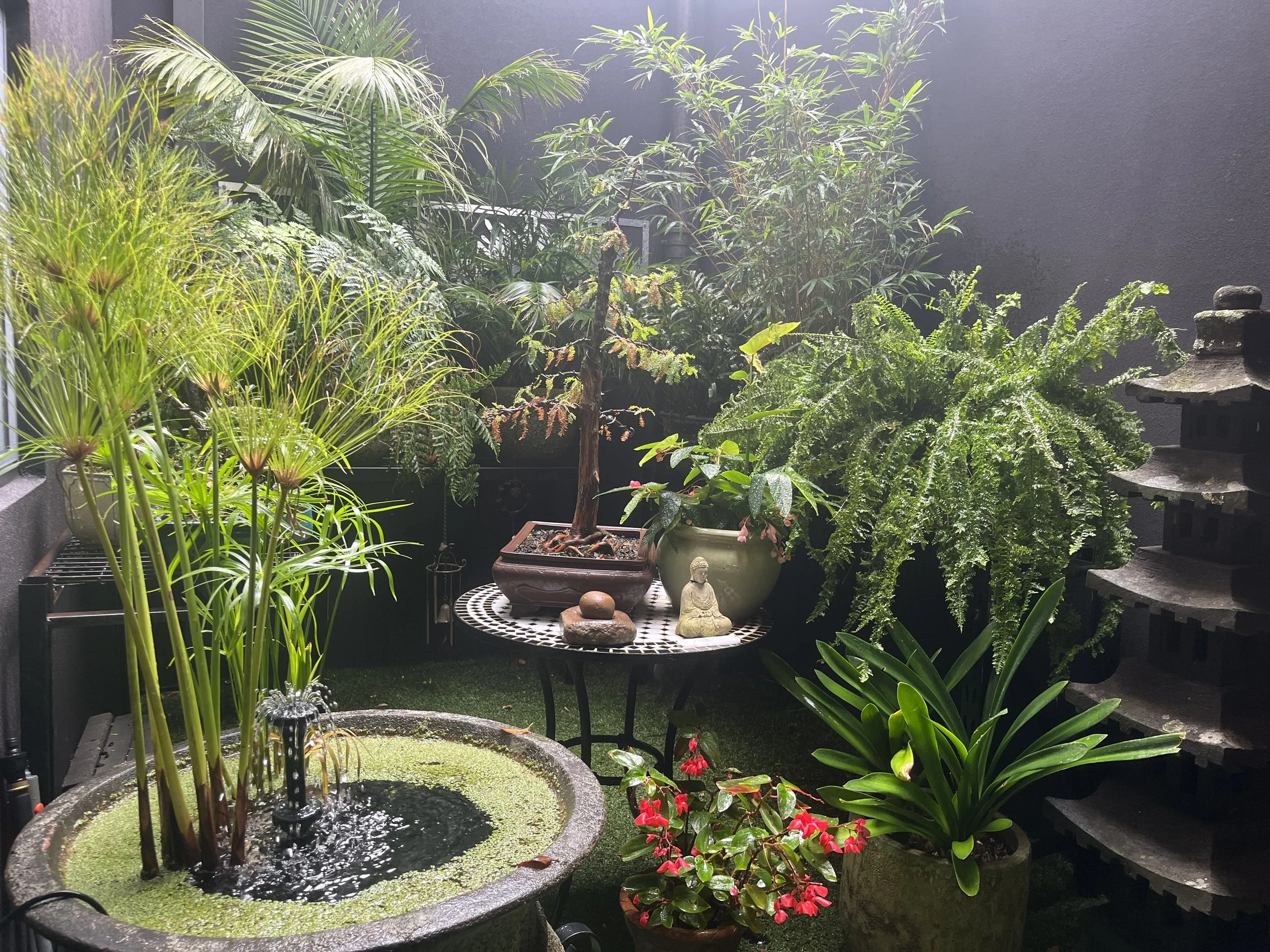 A lush, green backyard garden with a water fountain in a stone basin in the foreground, surrounded by various potted plants, foliage, and a black wall in the background. There is a small Buddha statue near the fountain and a dark, tiered stone lantern on the right.