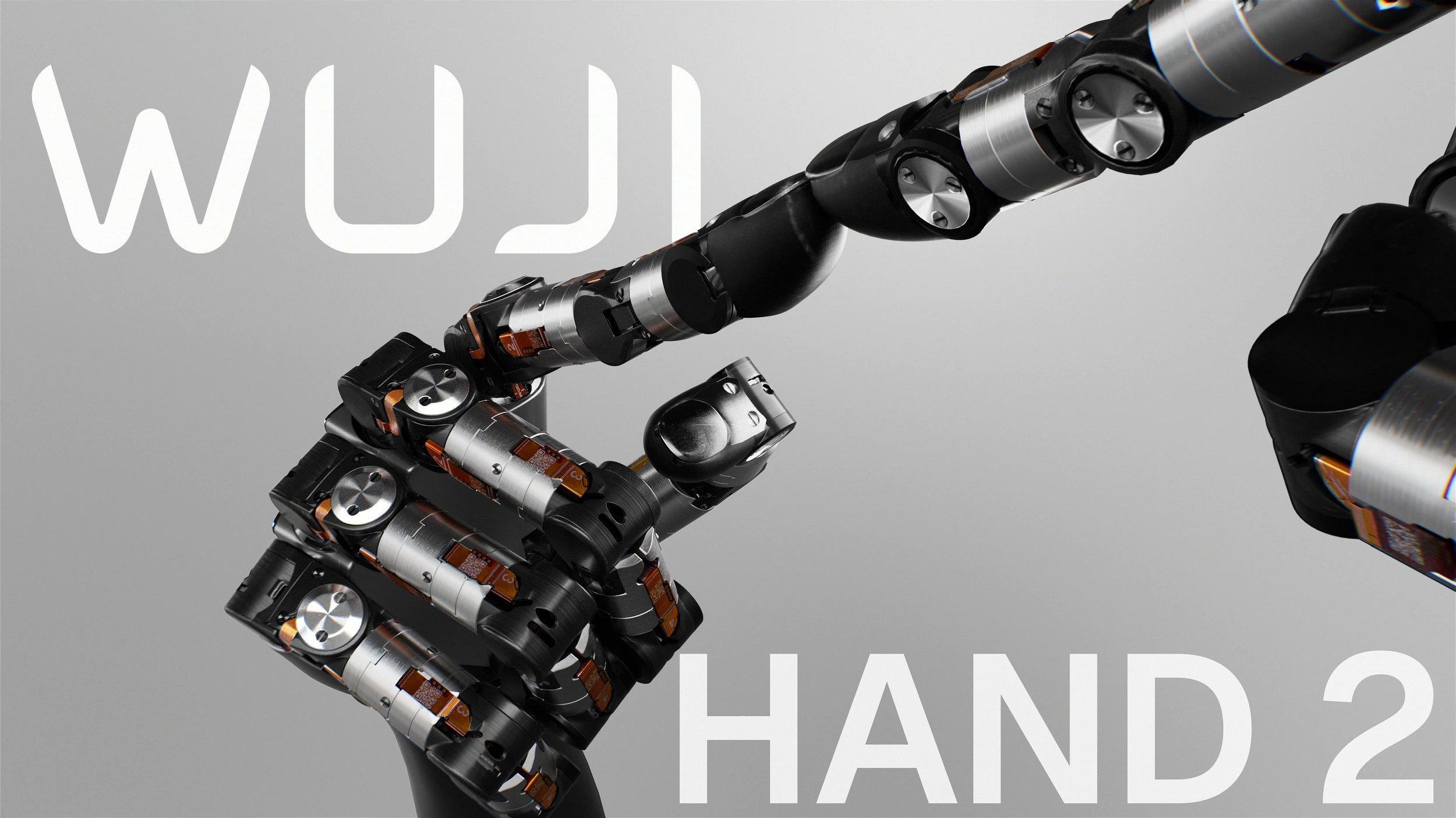 Wuji-Hand-2.jpg