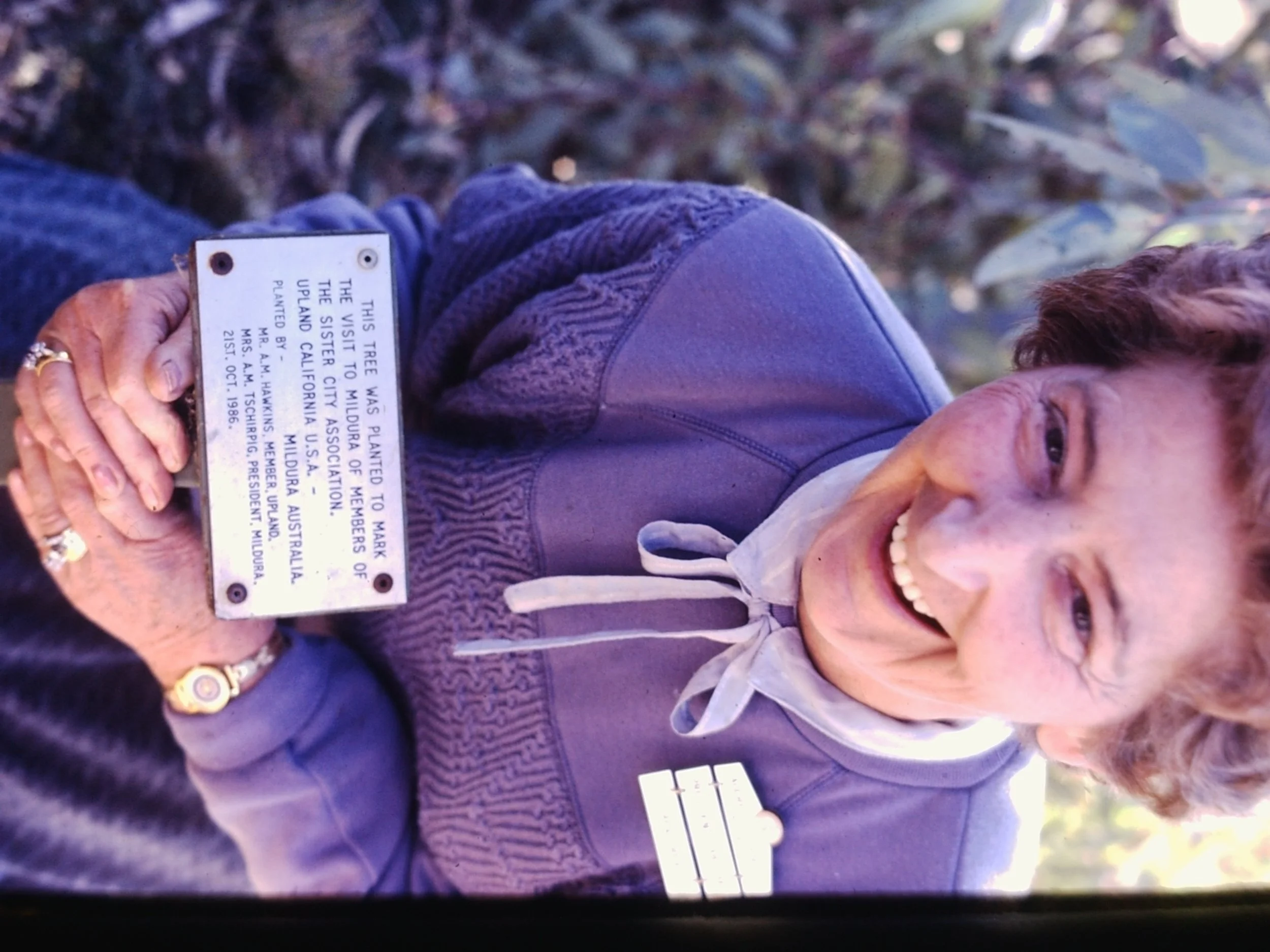 PICT00021.png