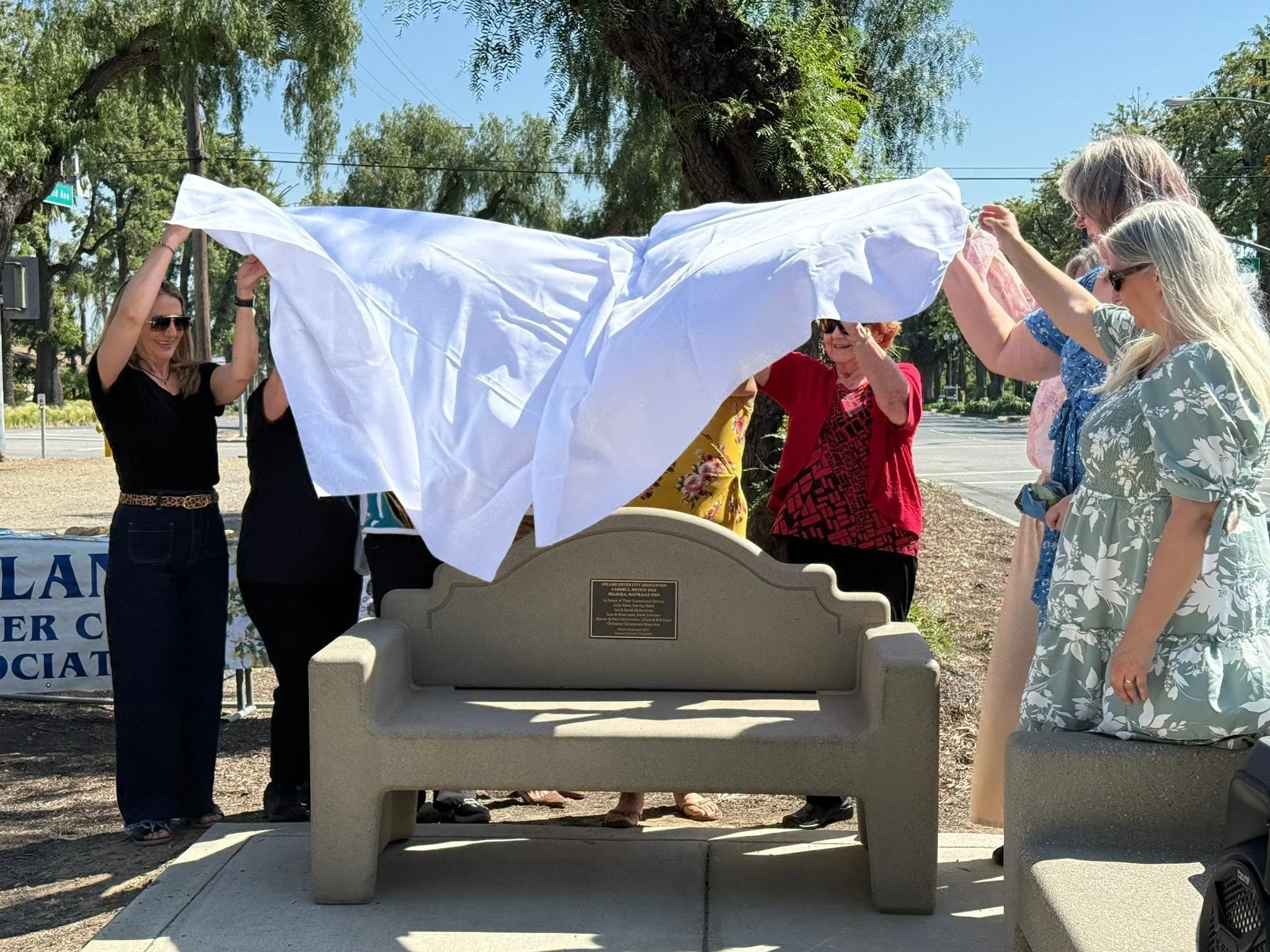 The unveiling 2025