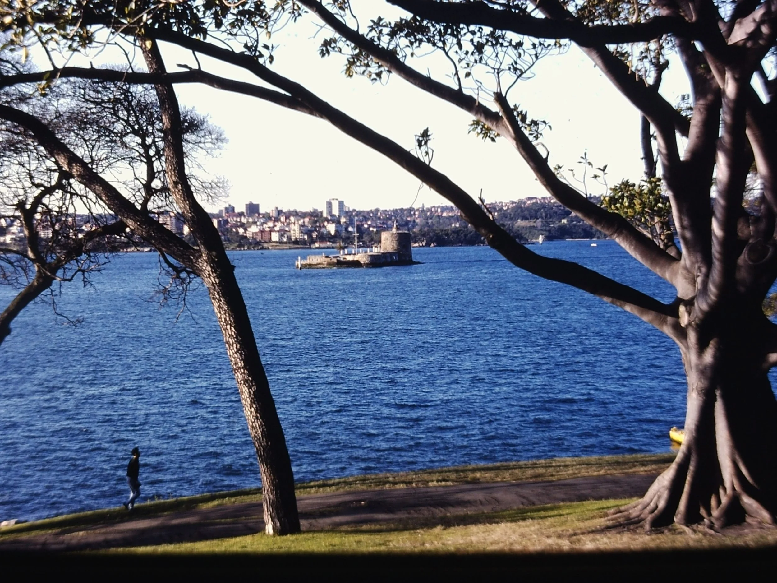 PICT0077.JPG