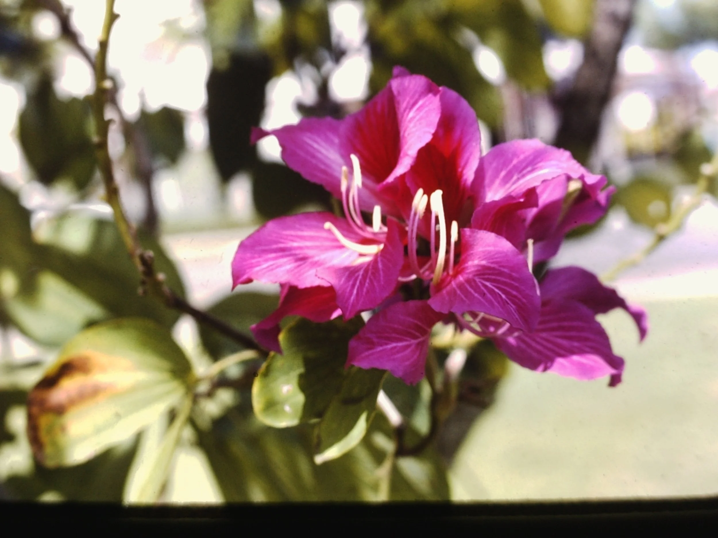 PICT0064.JPG