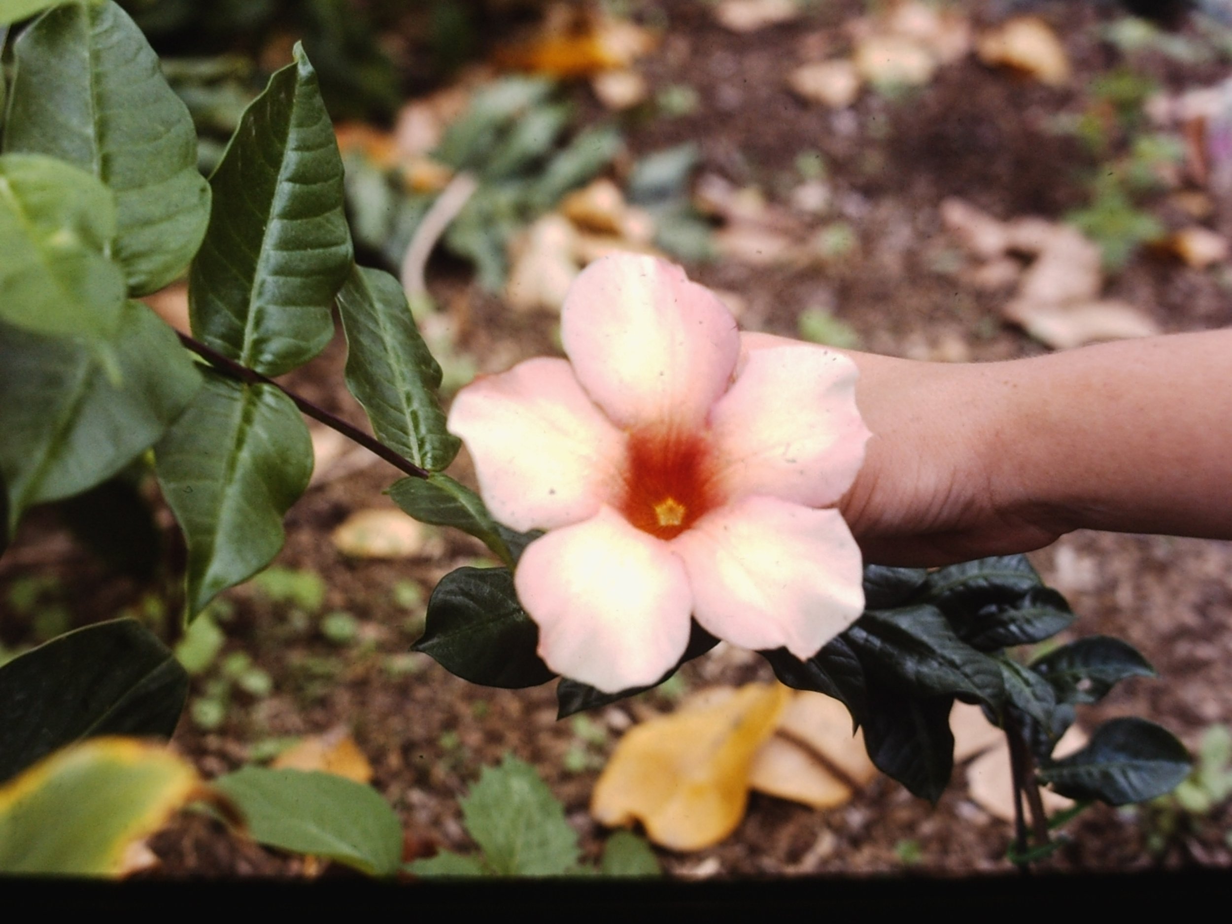PICT0067.JPG