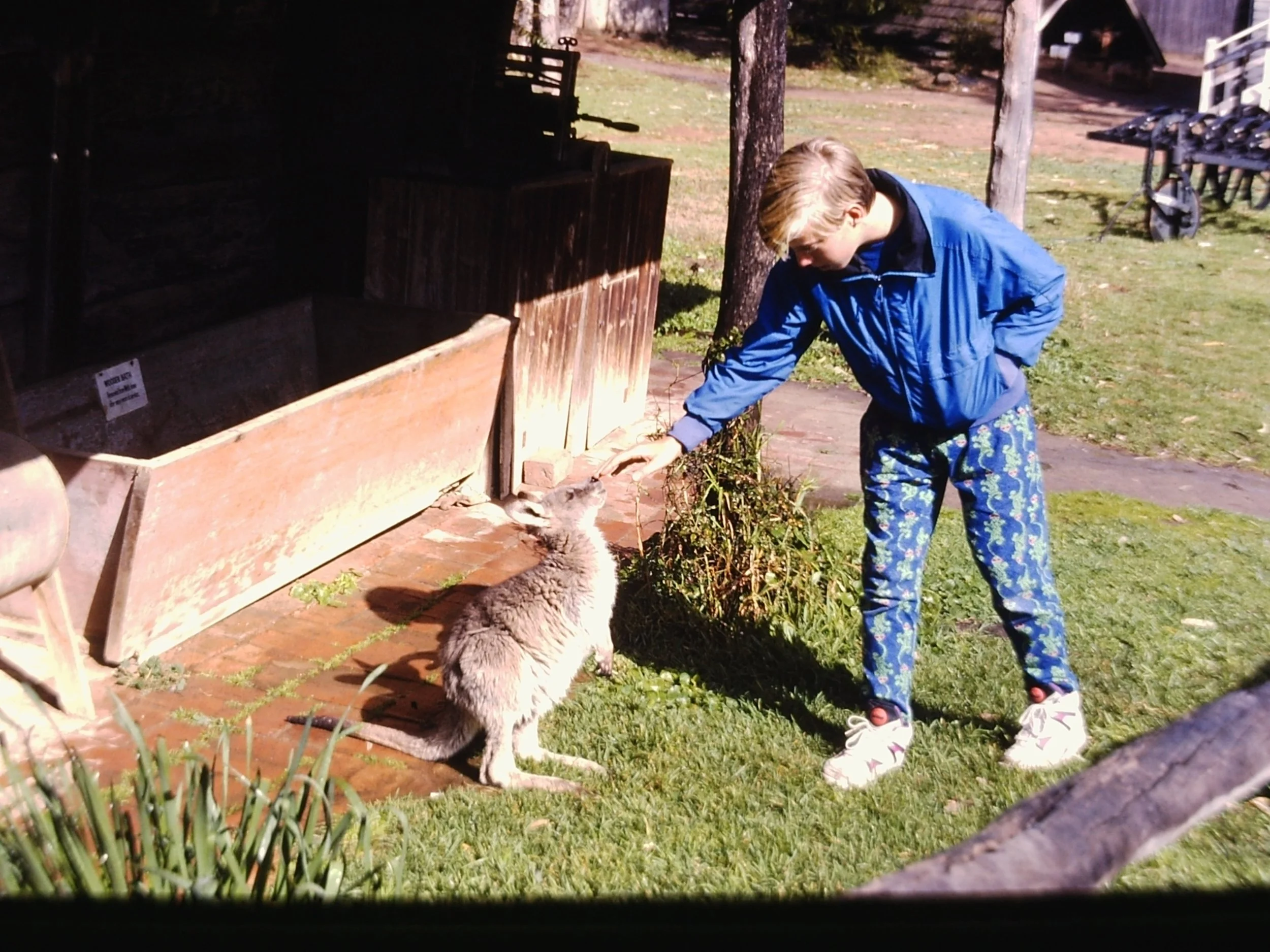 PICT0007.JPG