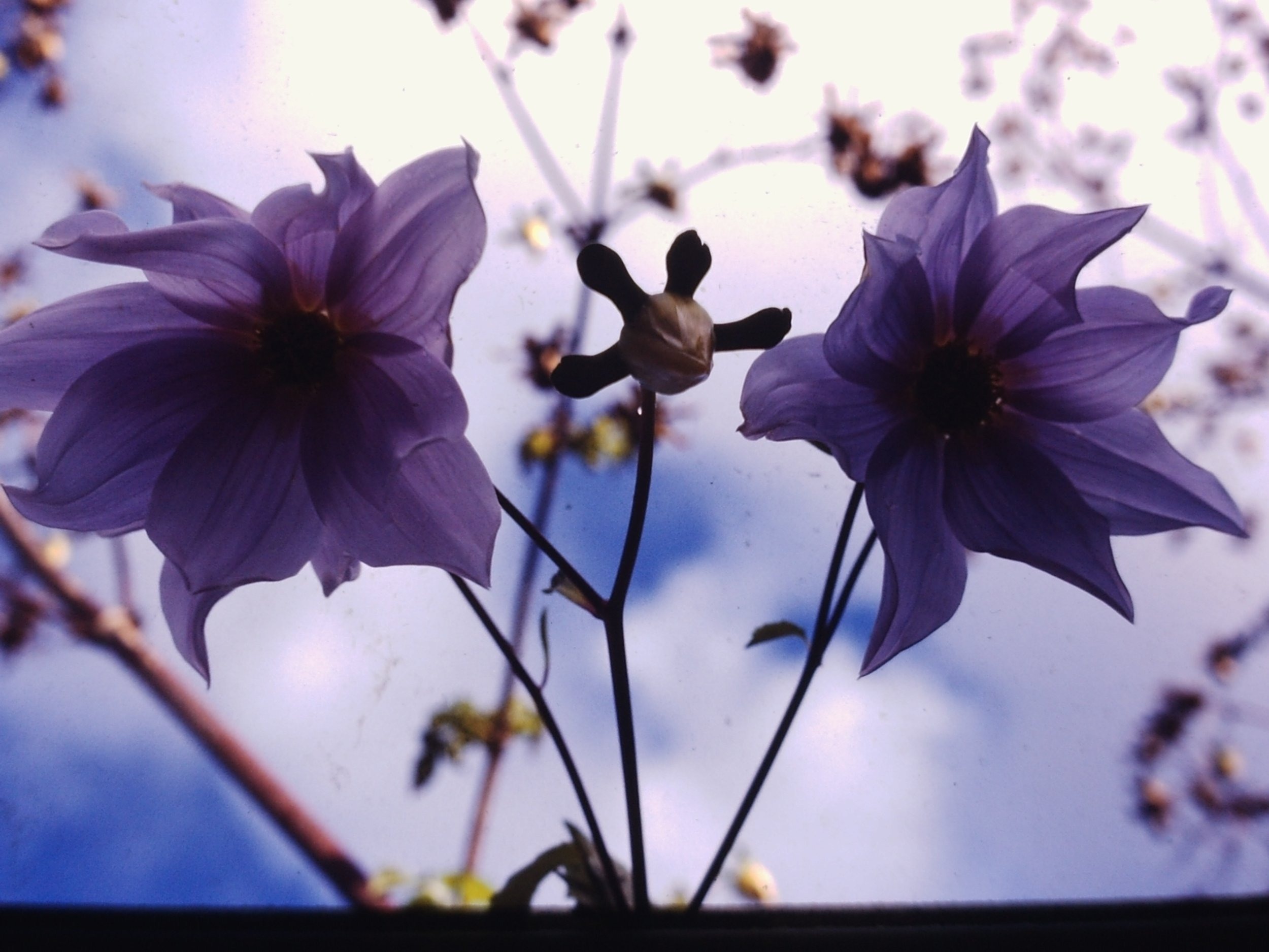 PICT00110.JPG