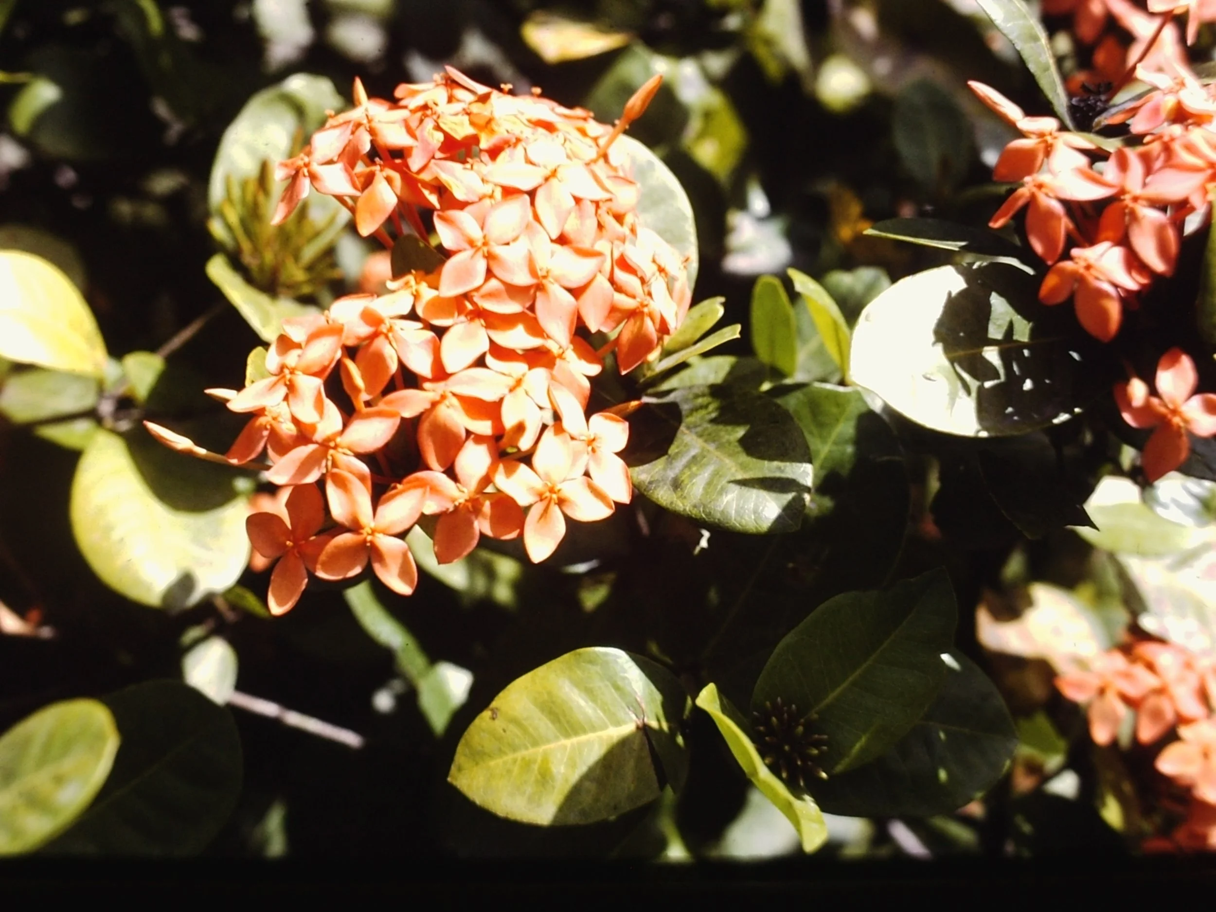 PICT0063.JPG