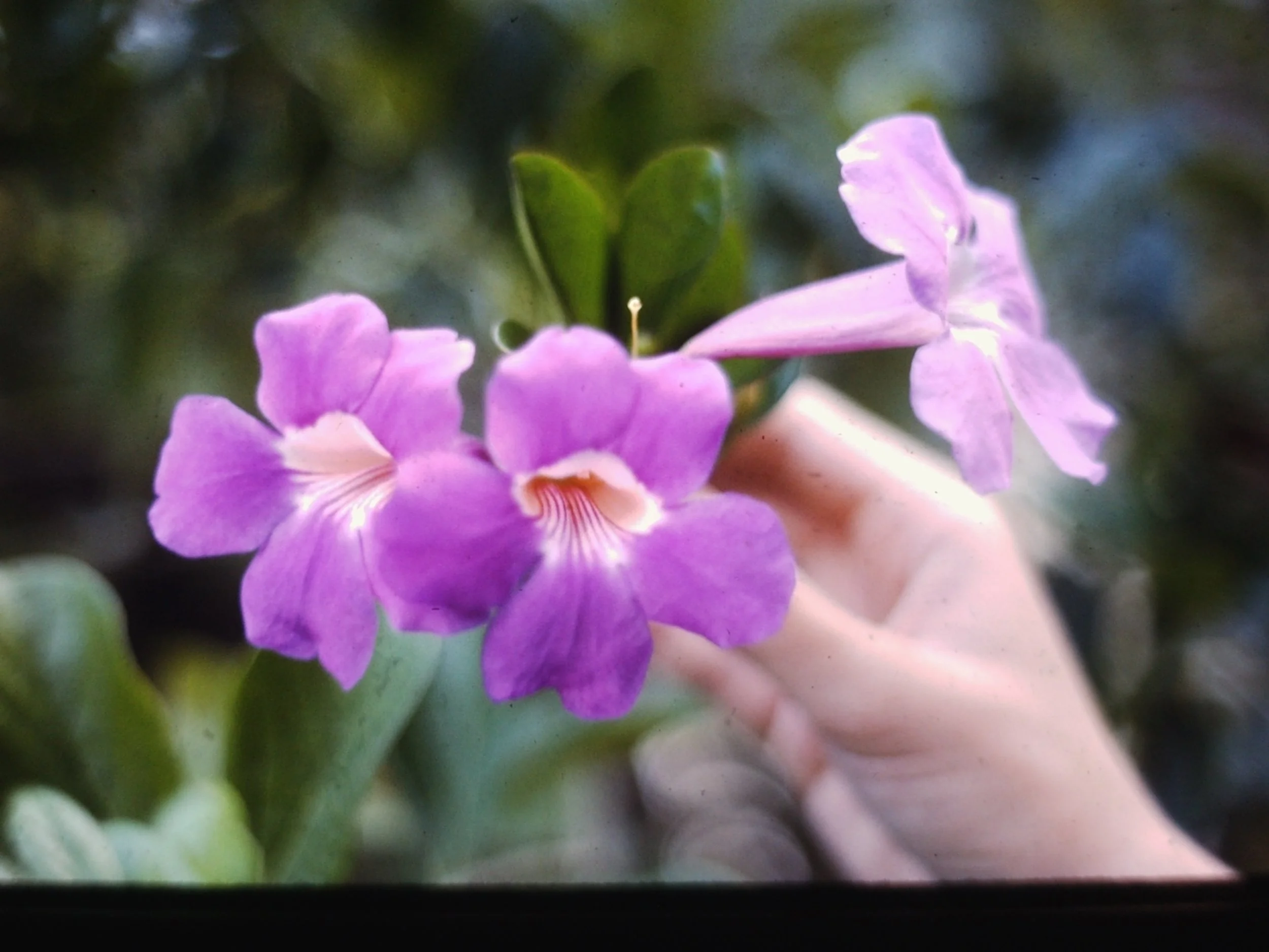 PICT0069.JPG
