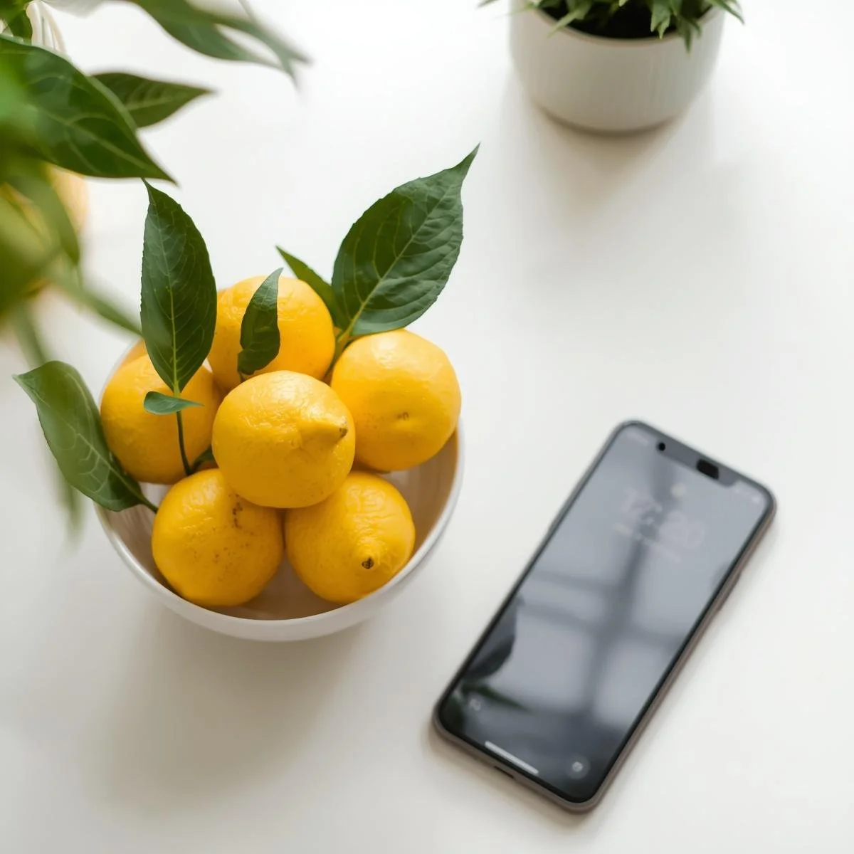 A bowl of lemons with green leaves on a white table next to a smartphone and a potted plant.