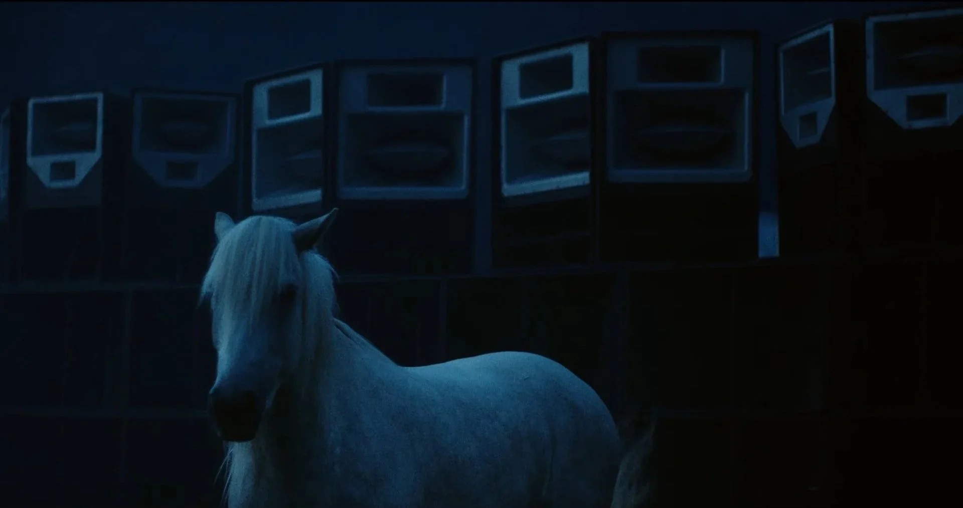 White horse inside Castel Grande in Bellinzona, music video When I'm Home, service production by AM Production