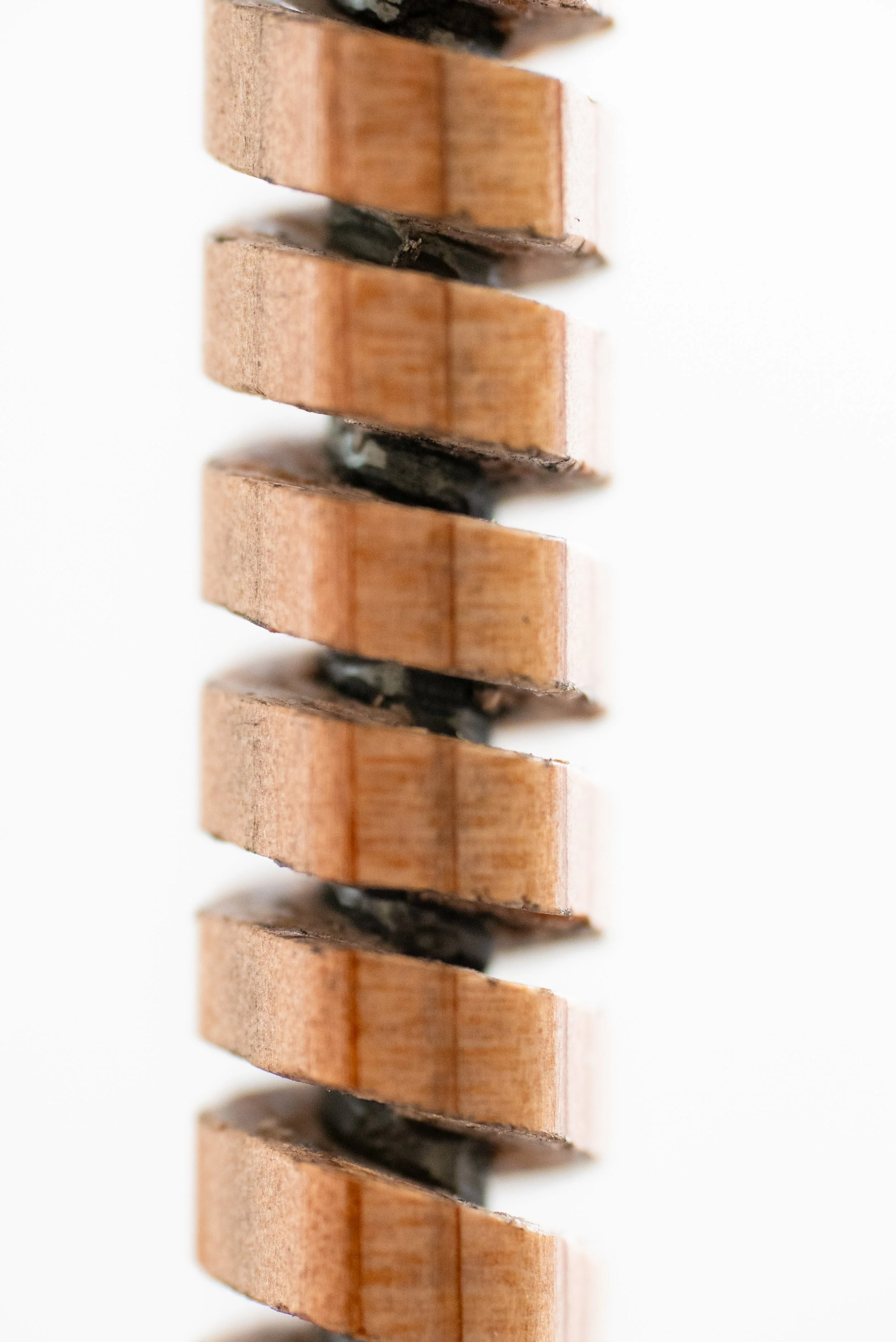 PNCL_0001_05_A1.jpg