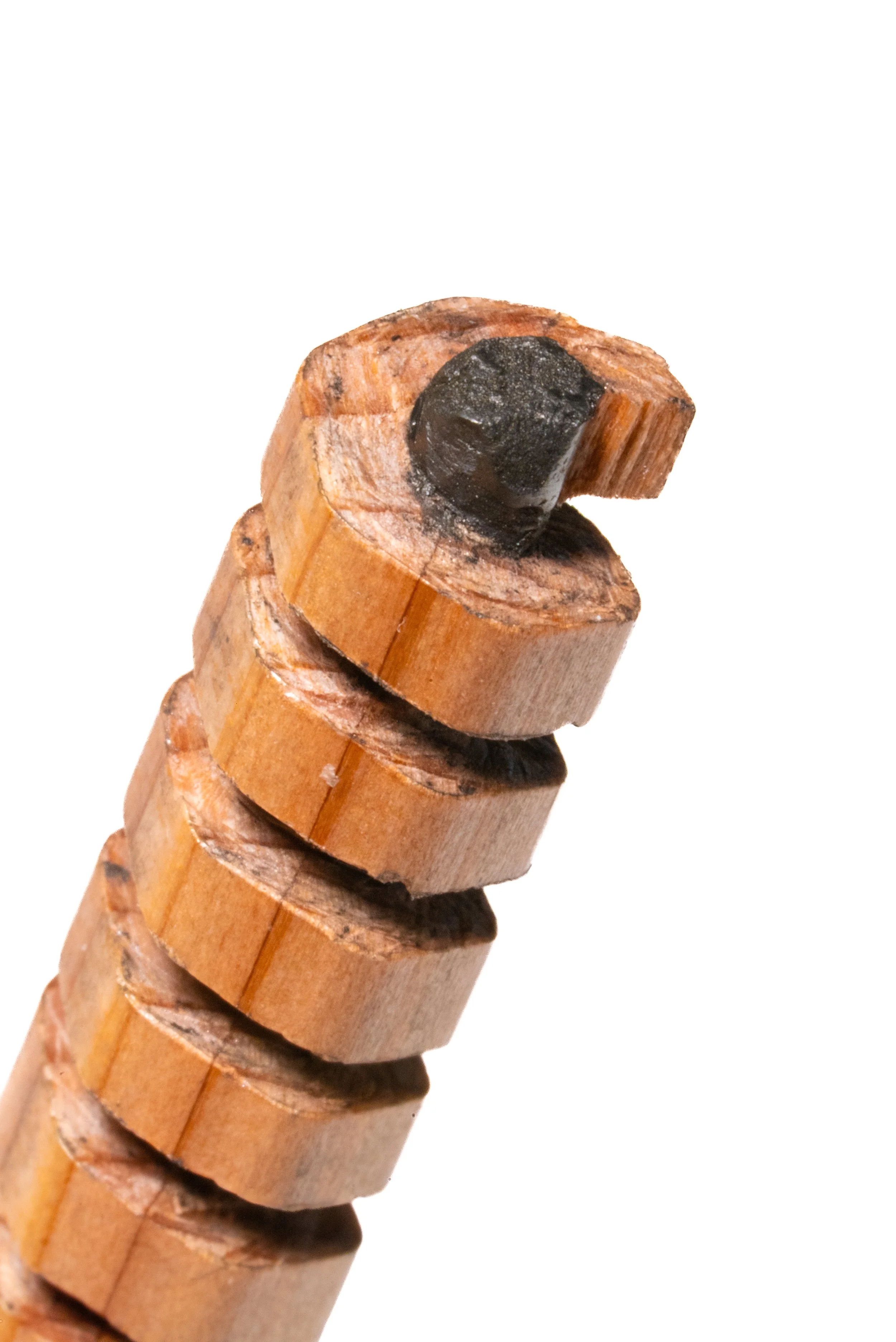 PNCL_0001_04_A1.jpg