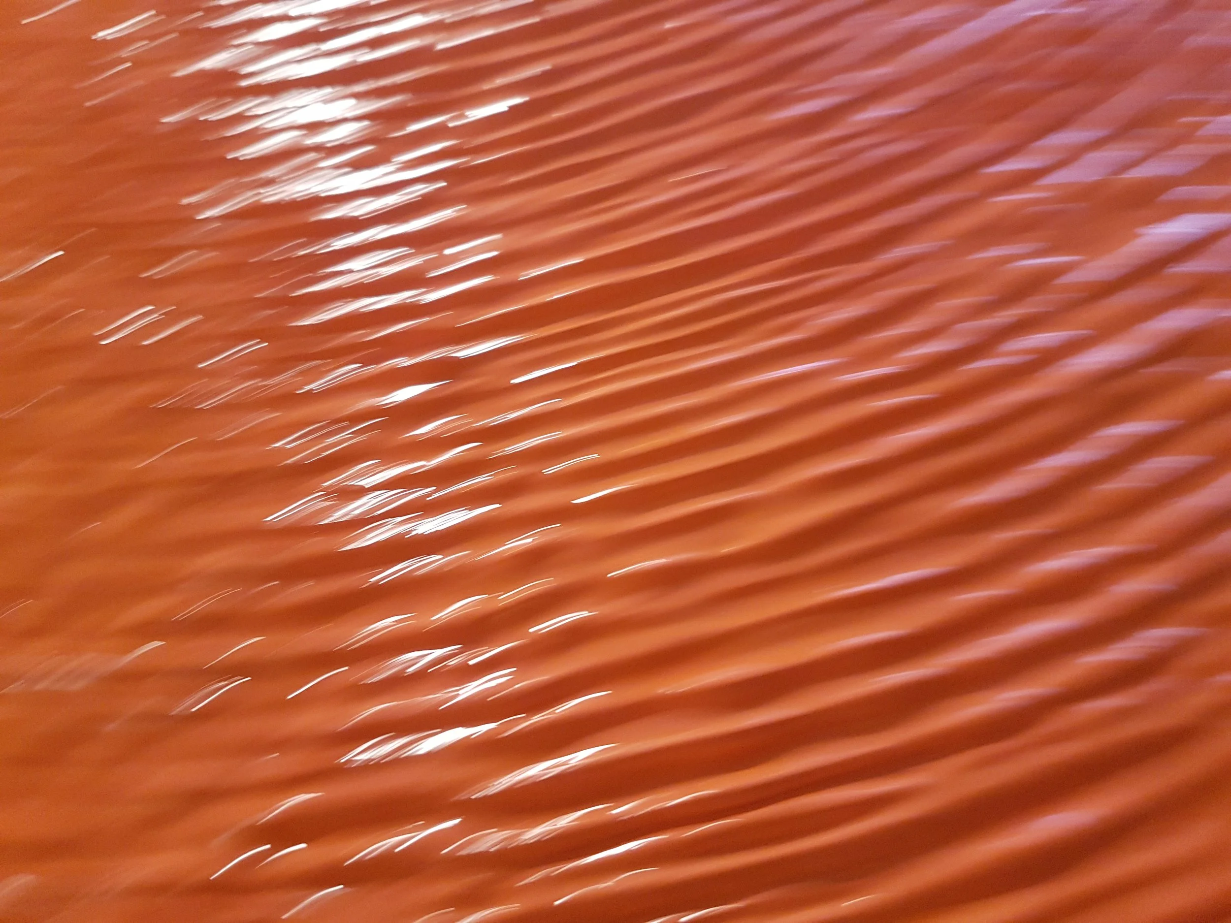 20241013_082921.jpg