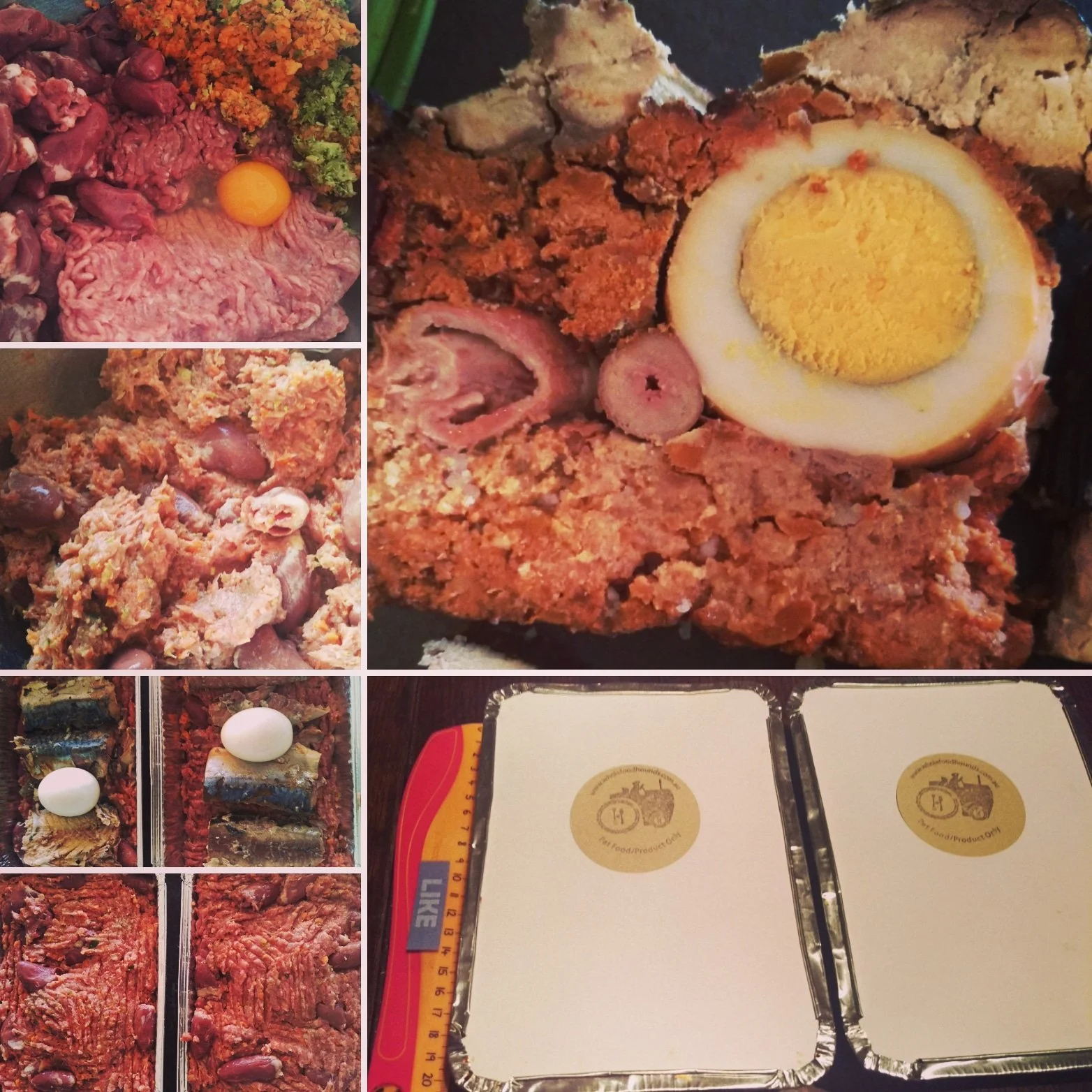 IMG_20180718_102149_037 (1).jpg