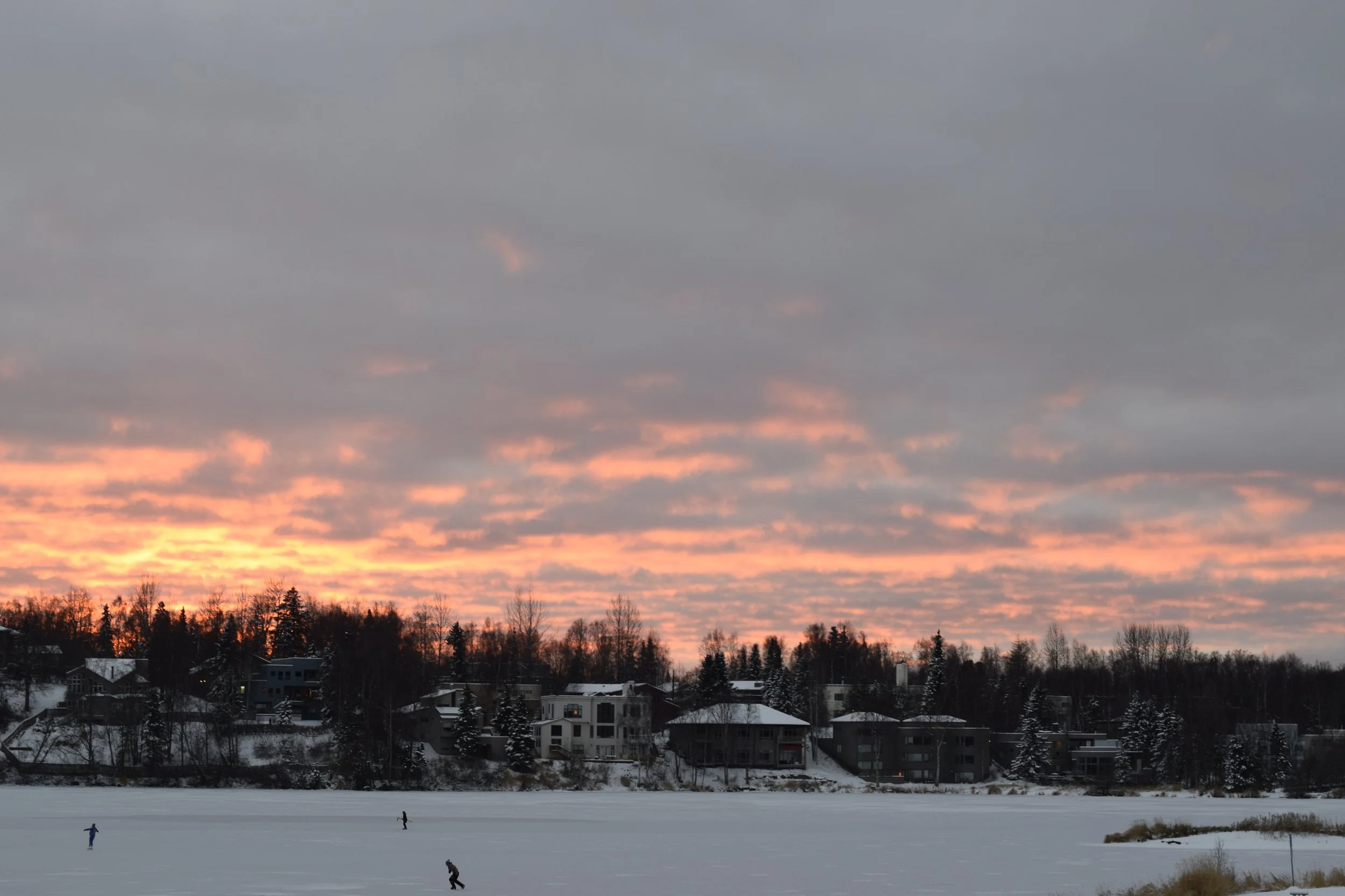 _DSC0105.JPG