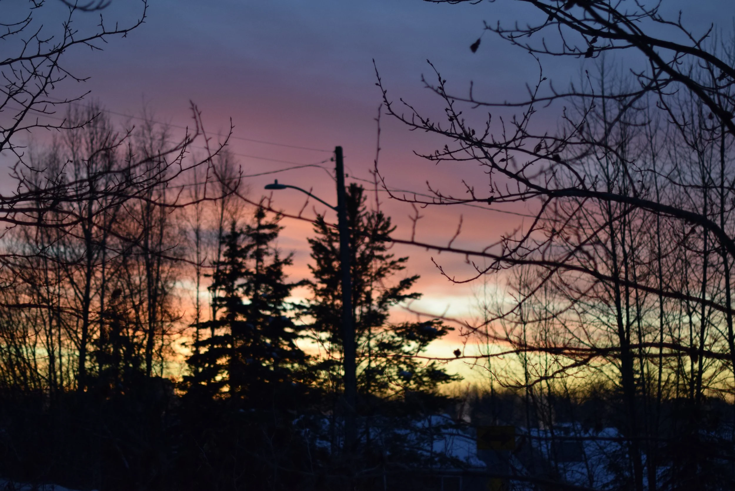 _DSC0302.JPG