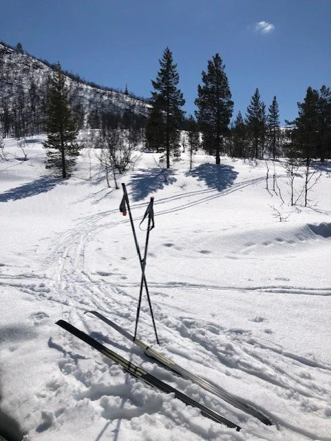 Påskehilsen fra Seniorguiden