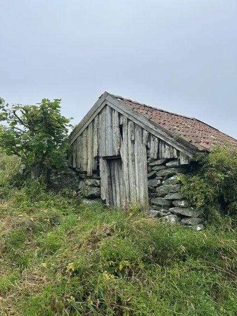 Når stoppet du sist opp?