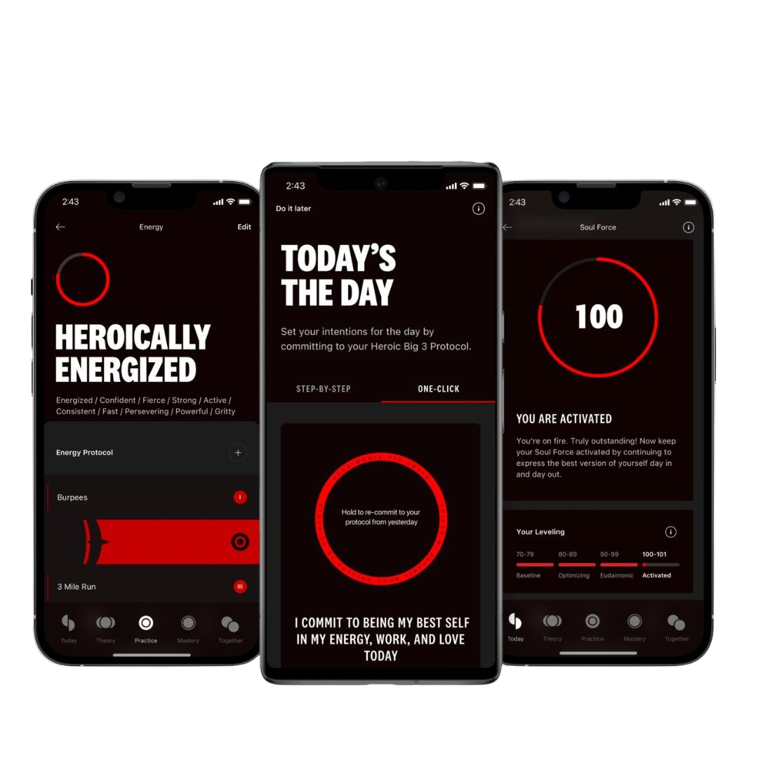 Screenshots einer Fitness- oder Wellness-App auf einem Smartphone, die verschiedene Abschnitte wie Energie, heute, Theorie, Praxis, Meisterschaft und Zusammengehörigkeit zeigt, inklusive Fortschrittsanzeigen und Motivationsnachrichten.