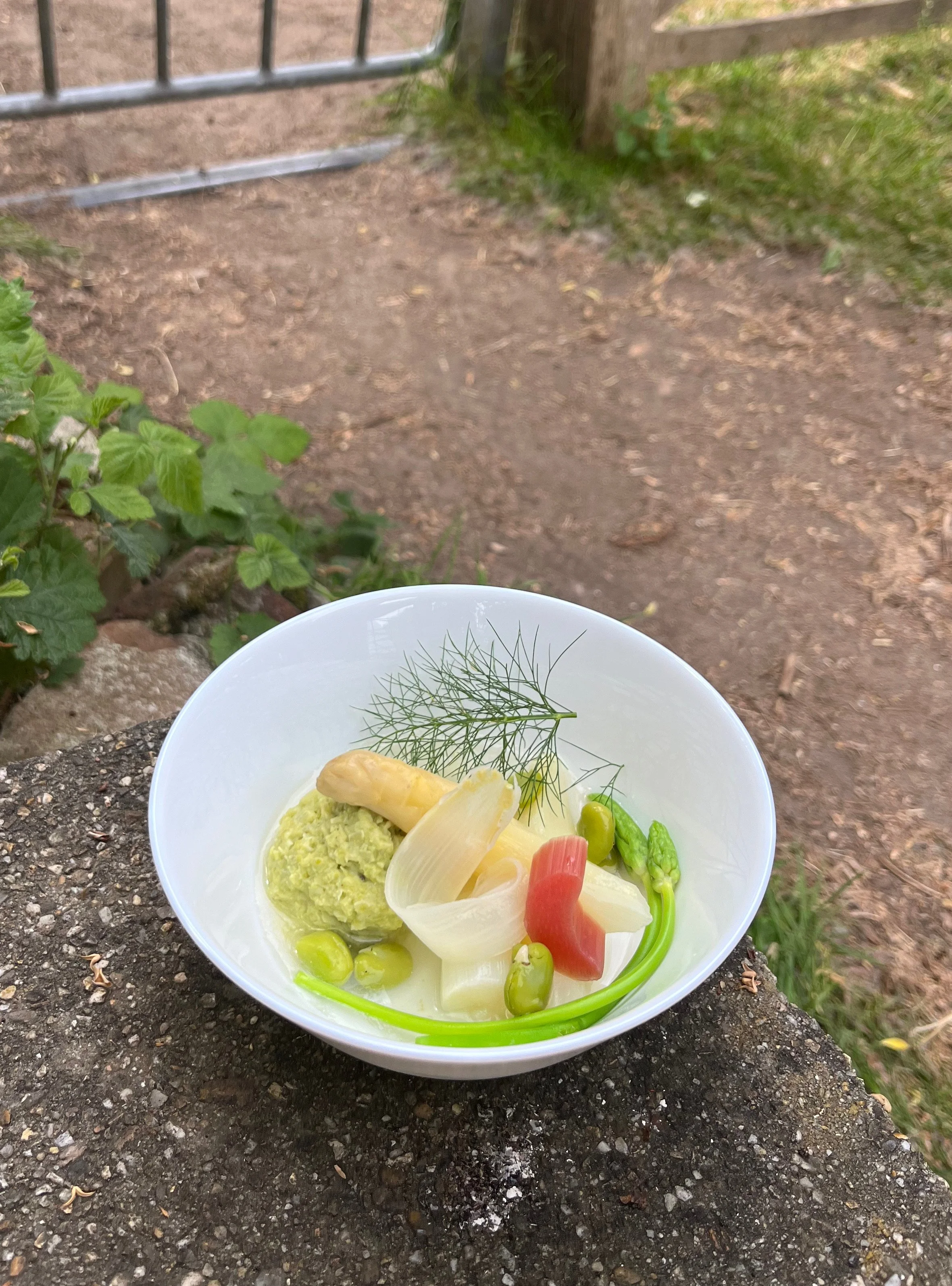 Witte kom met erwtenpuree, asperge, tuinbonen en rabarber, geplaatst op een stenen ondergrond buiten, met een groene tuin en een hek op de achtergrond.
