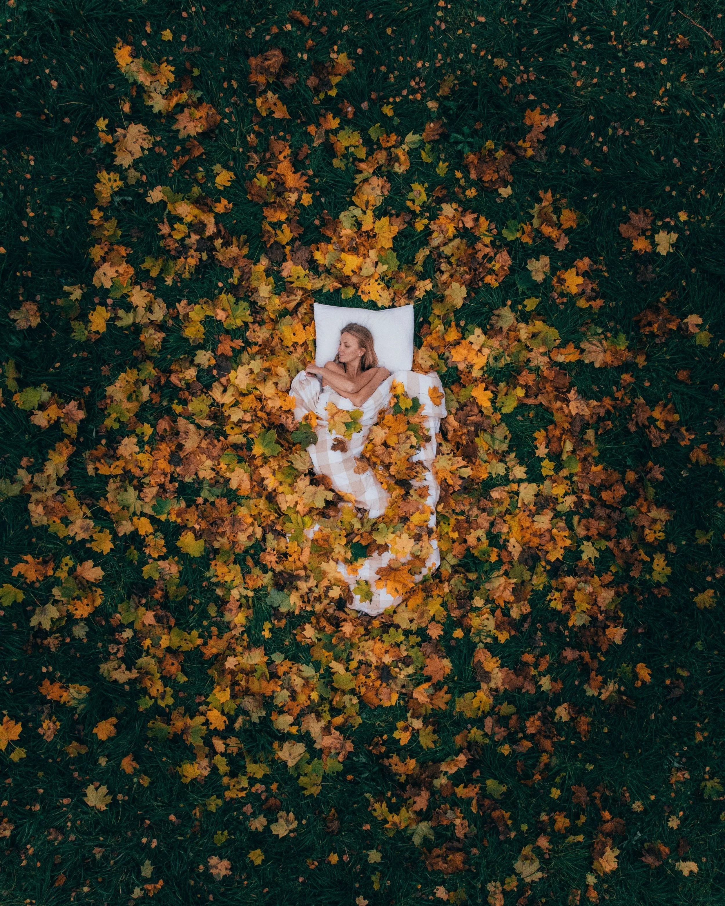 What the Leaf Knew: From an Inner Nature Writing™ Prompt