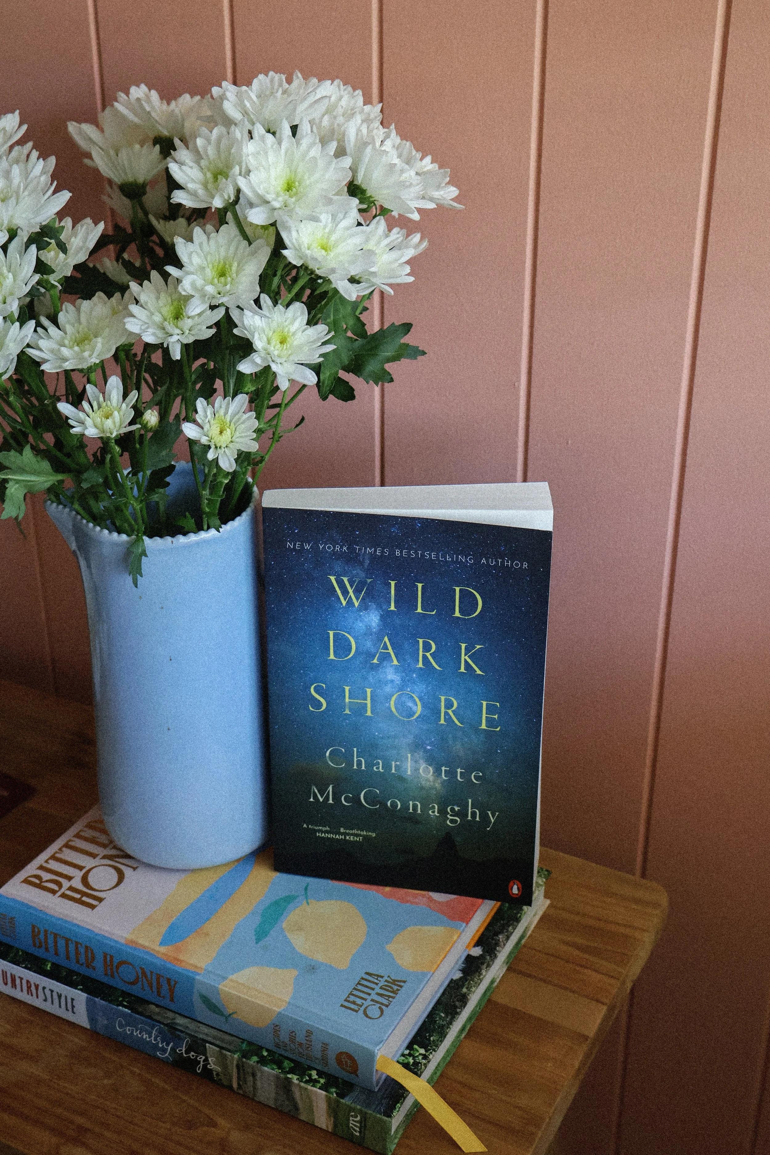 wild dark shore book club brisbane