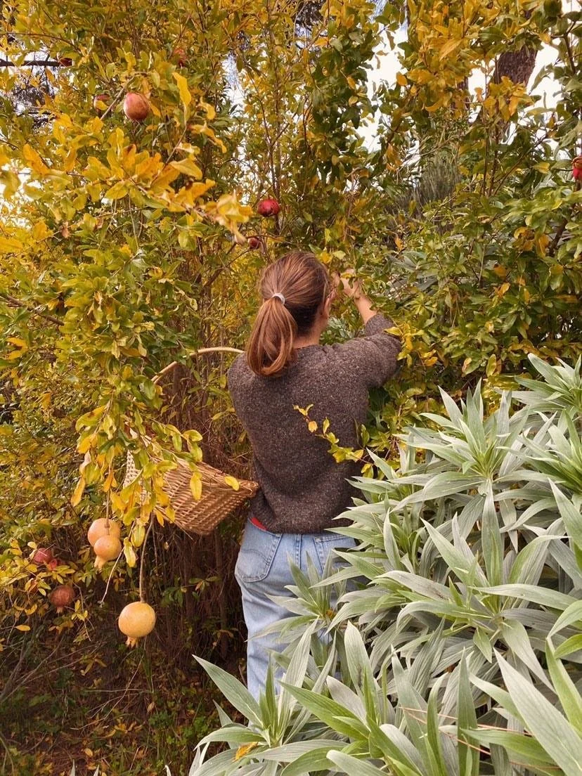 Luigi Fiano_Cook the Farm