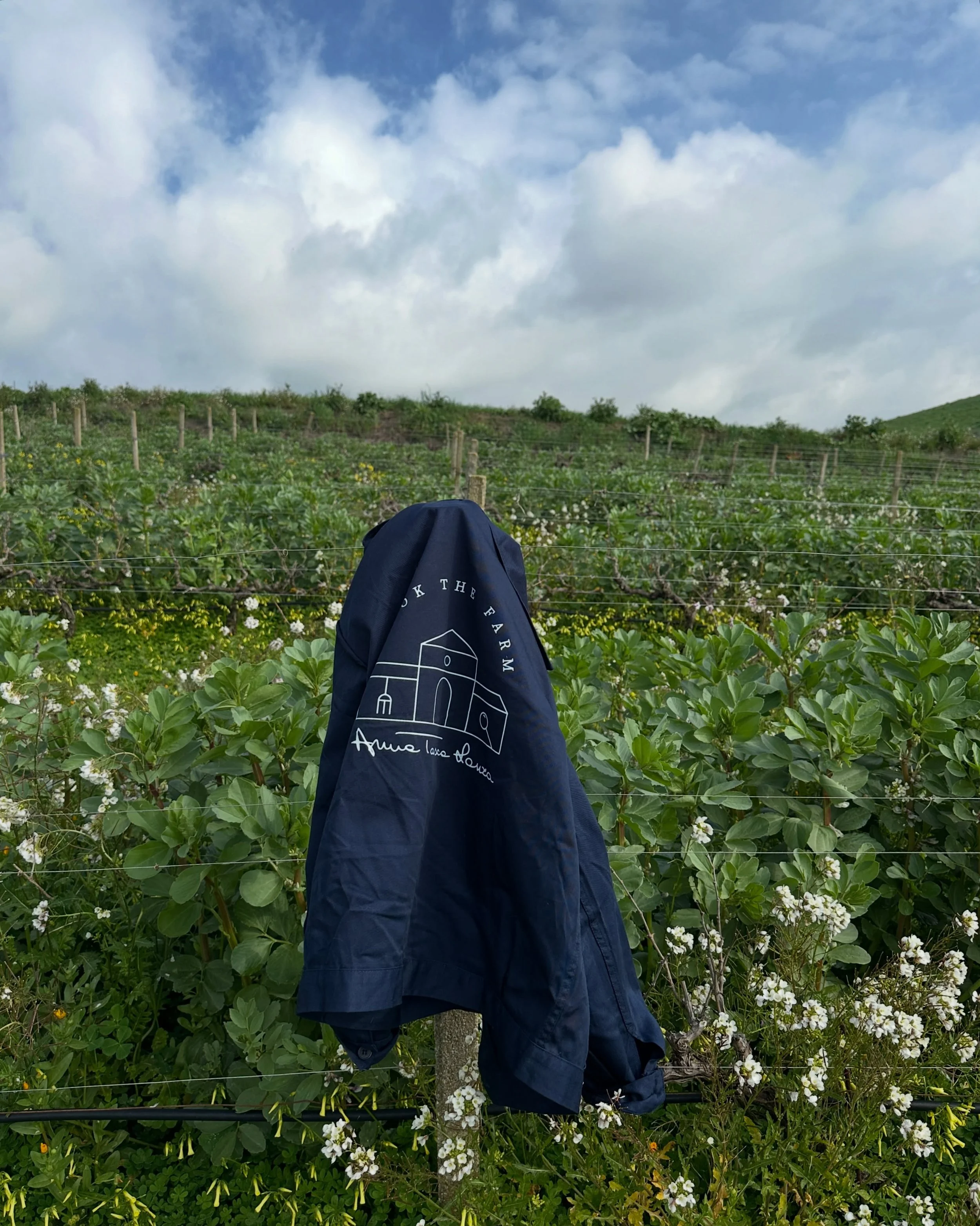Cook the Farm Sicily 2027 is open and all are welcome !

Six weeks in Sicily with the farmers, beekeepers, pasta masters, shepherds, and foragers who know this soil, its seasons, and its people. You&rsquo;ll learn to taste terroir, to trust what your