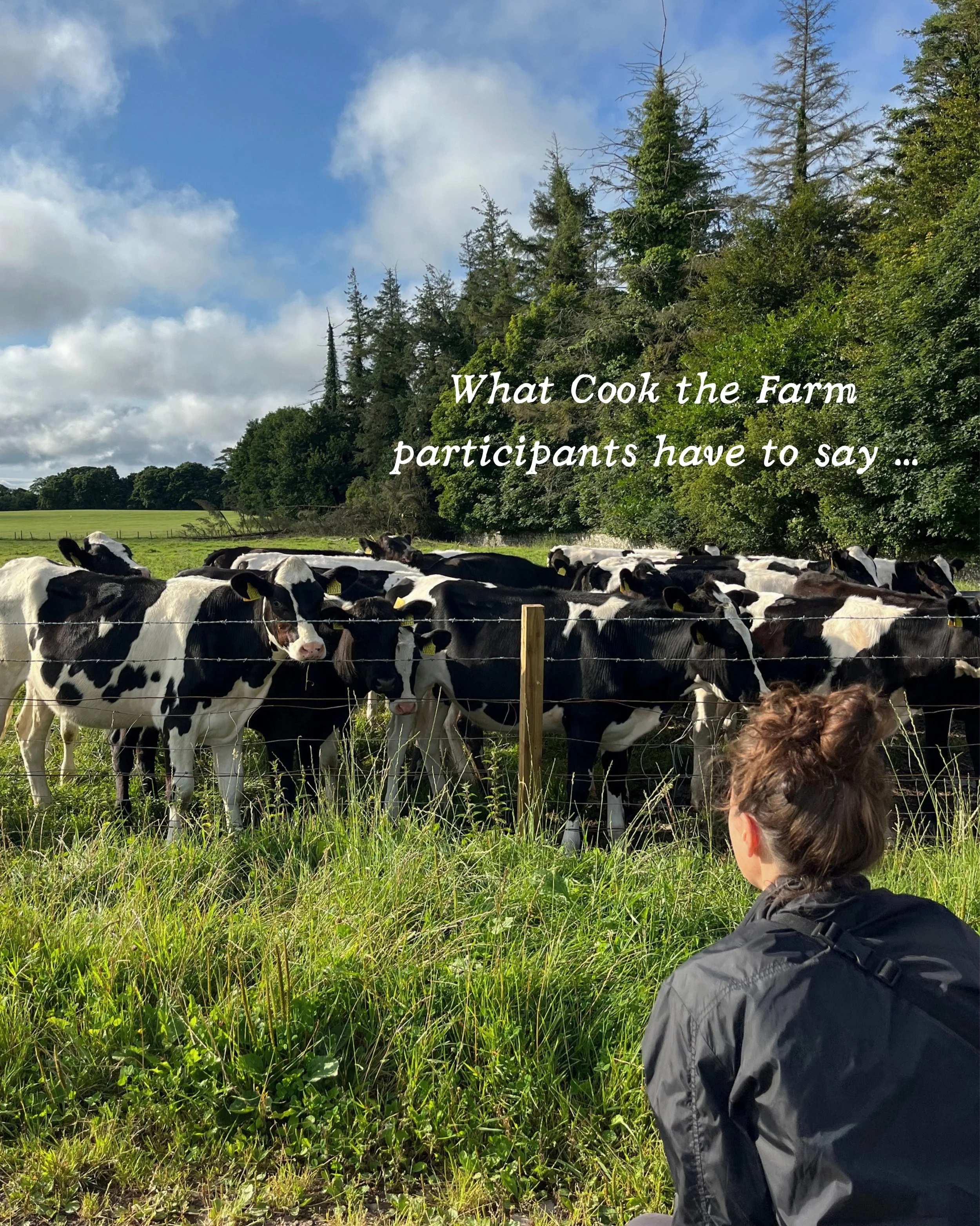We tried to write this ourselves, but they did it better! Curious about what Cook the Farm is actually like before applying? 

Join Program Director Francesca Farris and past CTF students for a live Q&amp;A on June 14. Hear about everything from peop