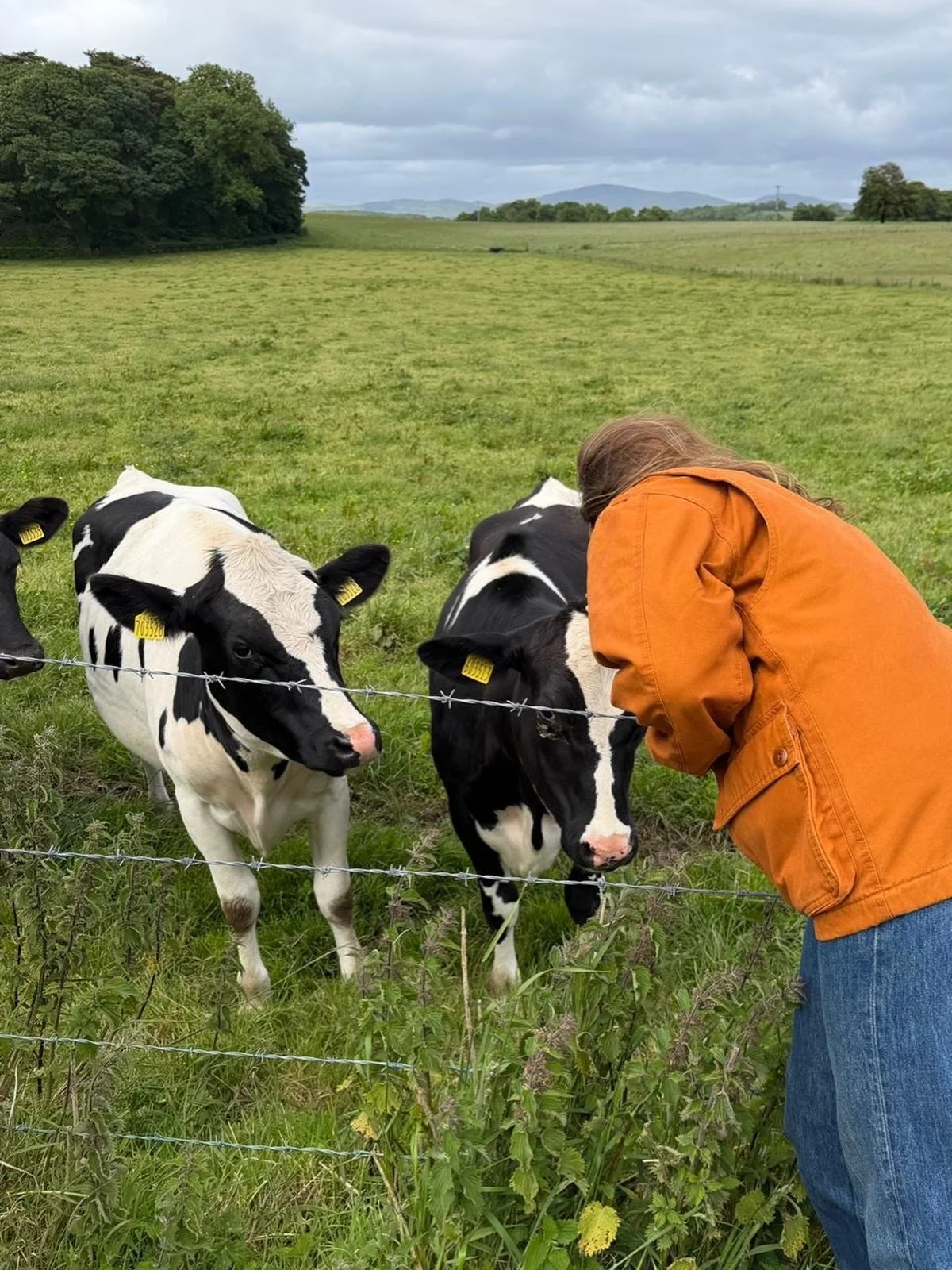 By Days 8, 9, and 10, this Cook the Farm Scotland group wasn&rsquo;t visiting Galloway anymore, we were a part of it. They brought the kind of curiosity and openness that makes CTF programs work: asking questions, showing up fully, getting their hand