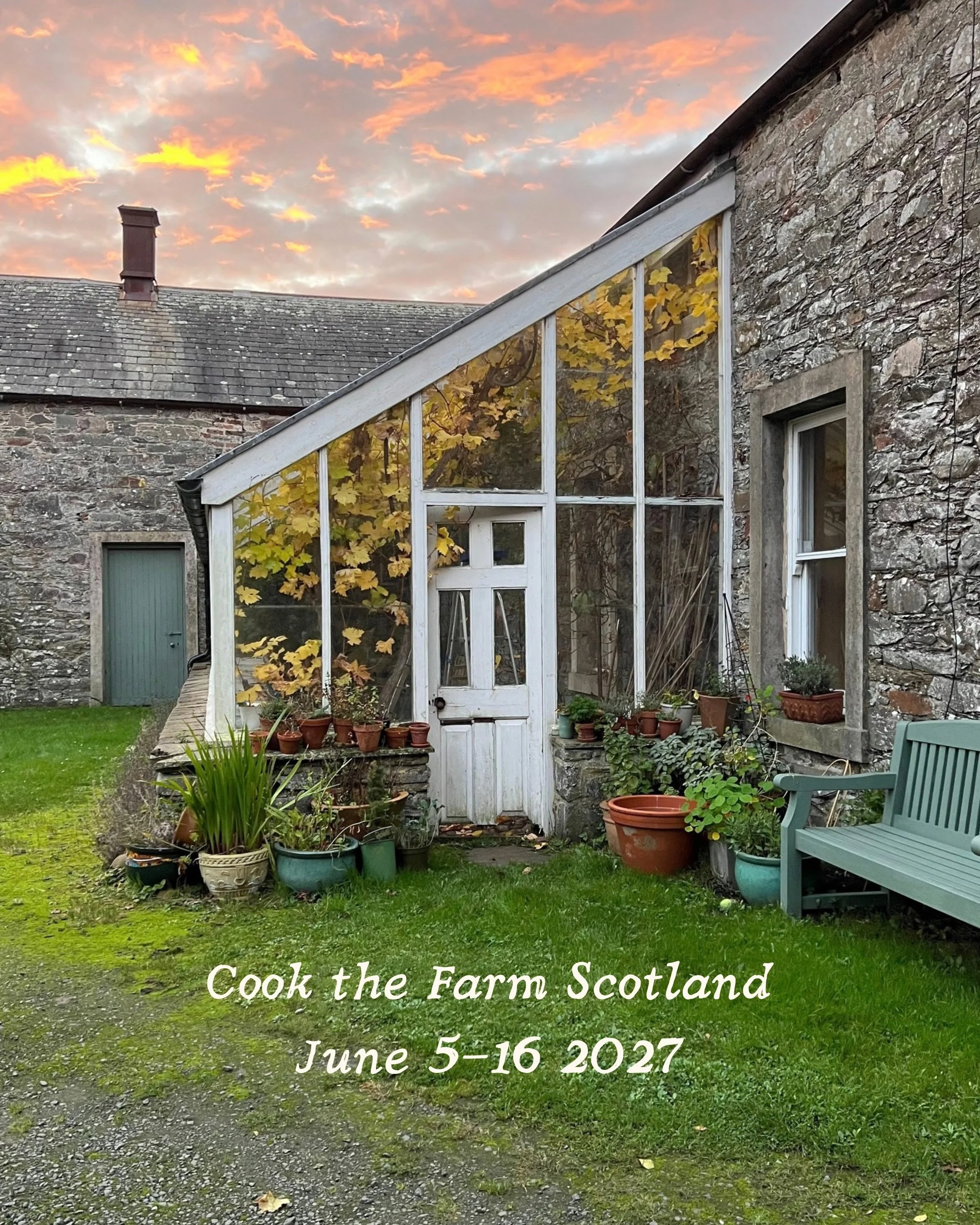 Cook the Farm Scotland 2027 is open for booking!

For ten days, you will be immersed in the Scotland known best to farmers, cheesemakers, foragers, fishers, butchers, brewers, distillers, cooks, and makers. Those who know this land and its coast, its