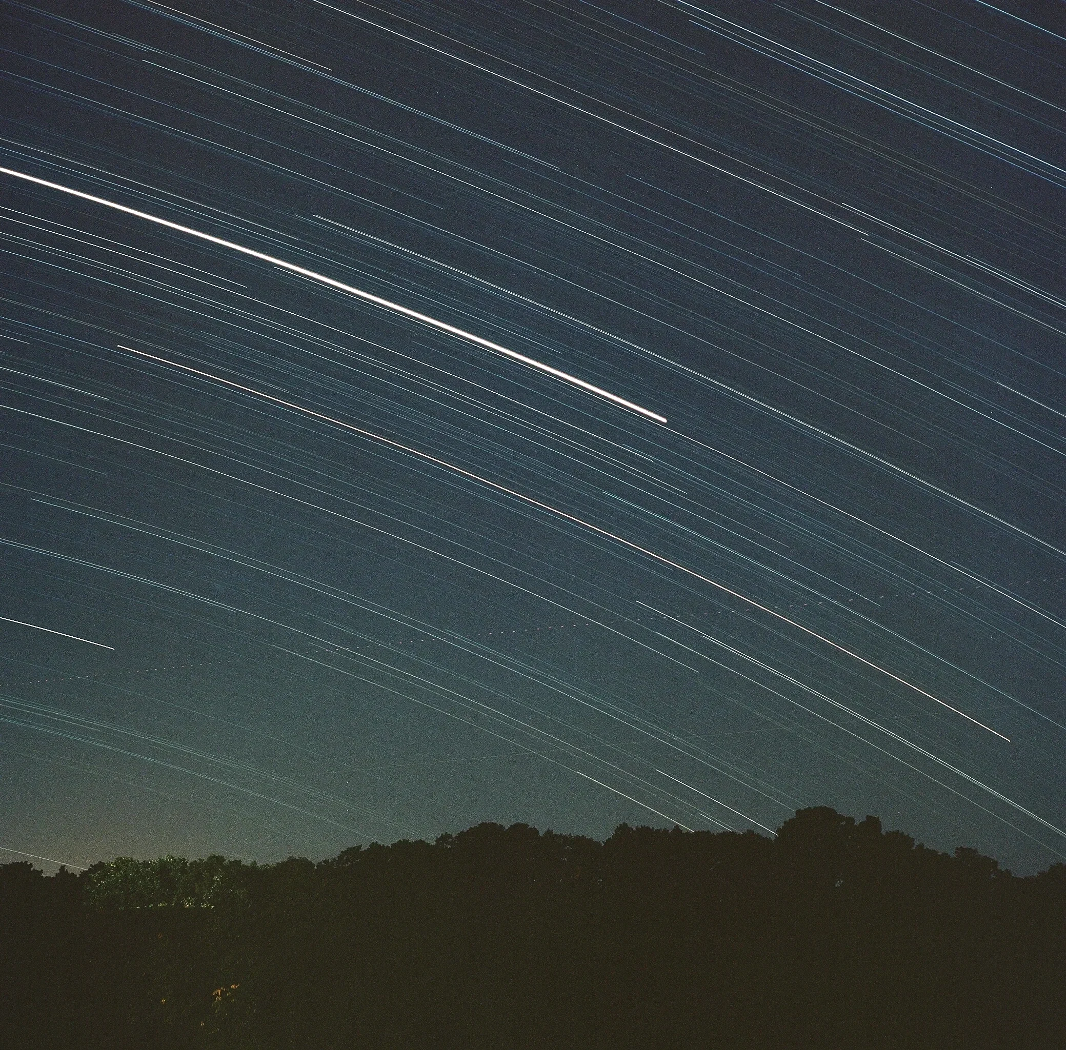 Long exposure photograph of star trails across the night sky with a silhouette of trees at the horizon.
