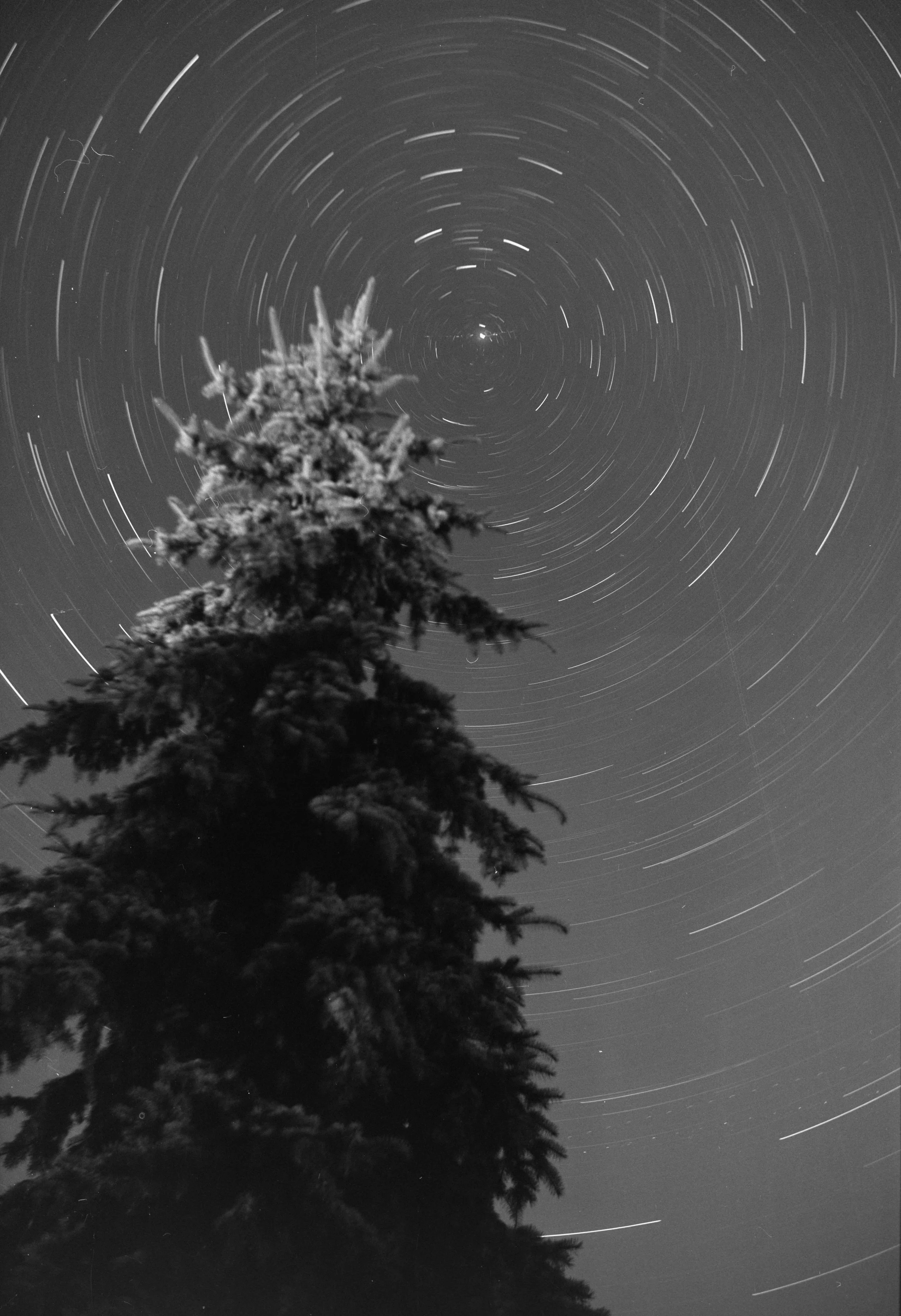 Camera: Zeiss Ikon Ercona |
Lens: Novonar 110mm f/4.5 |
Film: Kentmere 100 |
Exposure time: 3 hrs @f/4.5 |
Location: Abasar, Hungary |
Date: 2023-11-11