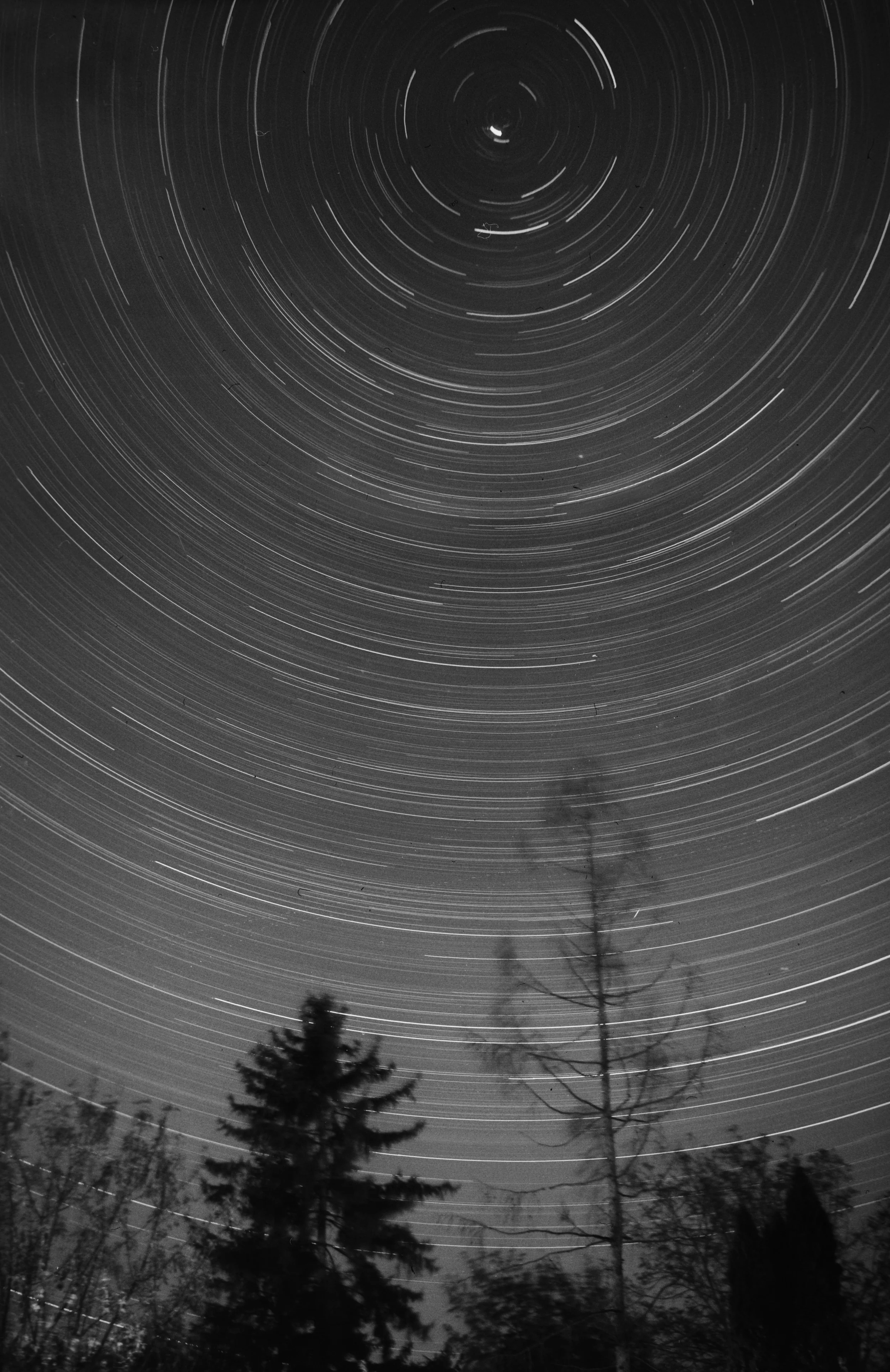 Camera: Zeiss Ikon Ercona |
Lens: Novonar 110mm f/4.5 |
Film: Rollei RPX 400 |
Exposure time: 2.5 hrs @f/4.5 |
Location: Szilvasvarad, Hungary |
Date: 2025-04-26