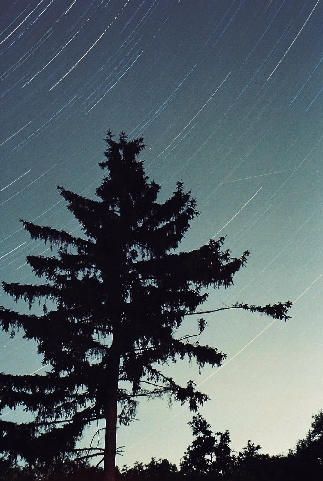 Camera: Zenit 12XP |
Lens: Helios 2/58 |
Film: Kodak Gold 200 |
Exposure time: 90 min @f/4 |
Location: Lovasbereny, Hungary |
Date: 2021