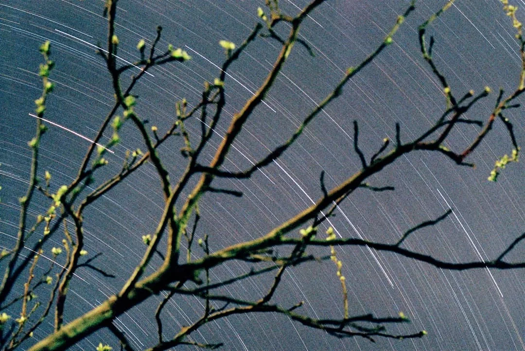 Camera: Zenit 12XP |
Lens: Helios 2/58 |
Film: Kodak Gold 200 |
Exposure time: 45 min @f/2 |
Location: Abasar, Hungary |
Date: 2021-04-16