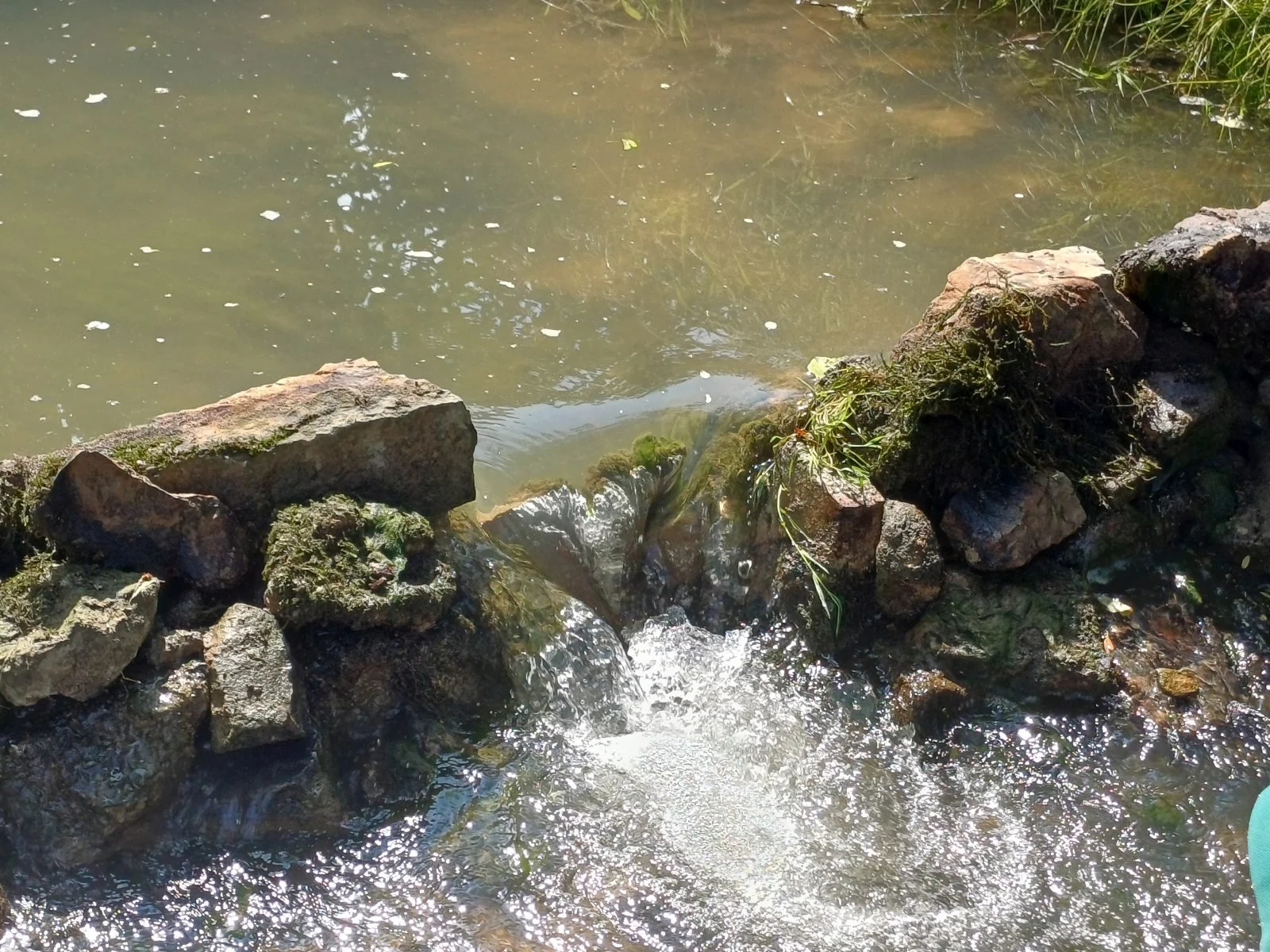 Ein kleiner Fluss oder Bach mit Wasser, das über Steine fließt.