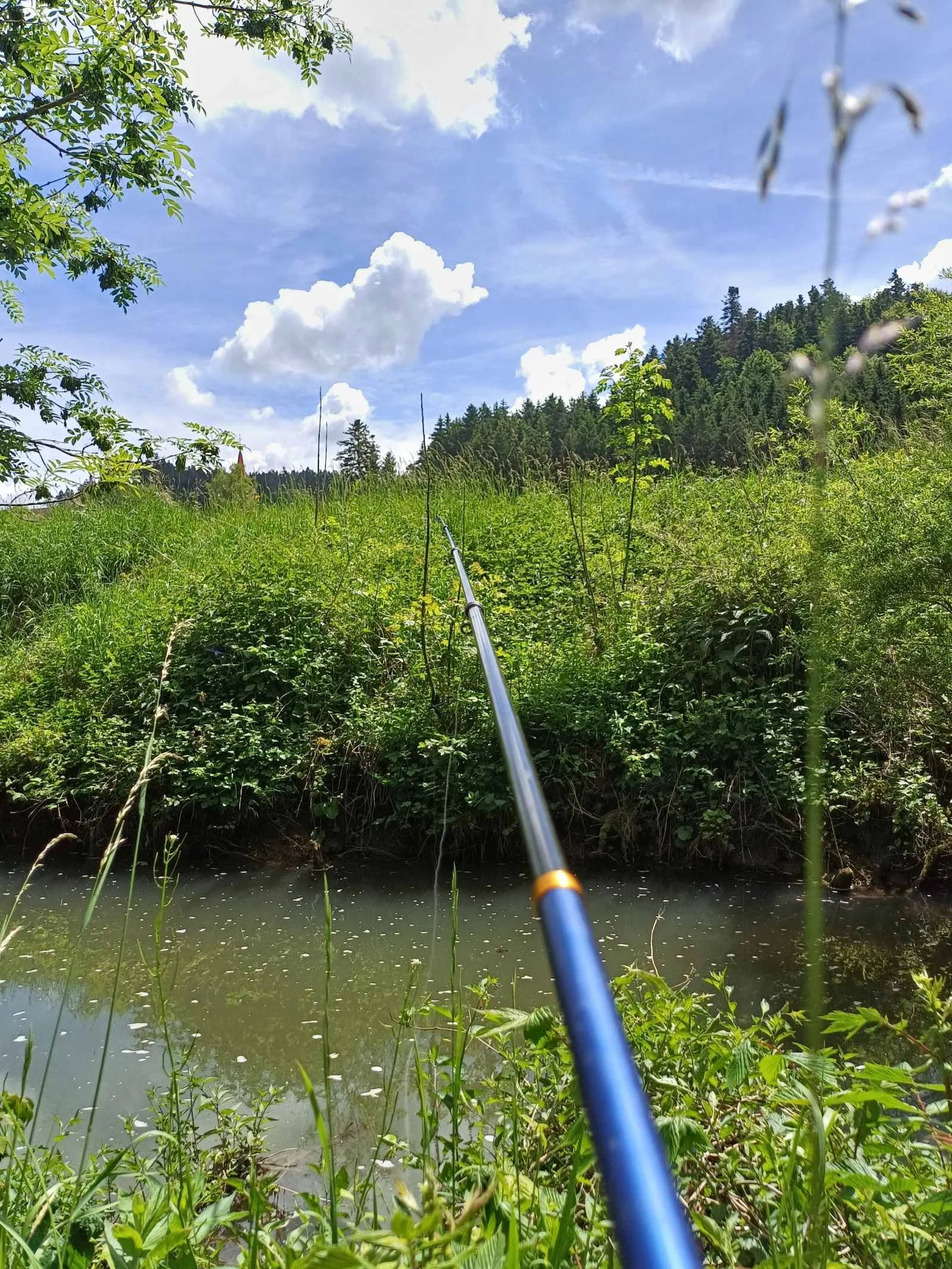 Angeln in einem Fluss im Grünen bei sonnigem Himmel mit Wolken, umgeben von Bäumen und Hügeln.