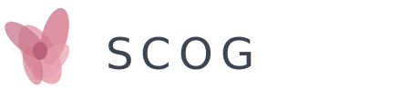 SCOG - Sociedade de Cuidados Obstetricos - Ginecologicos Lda
