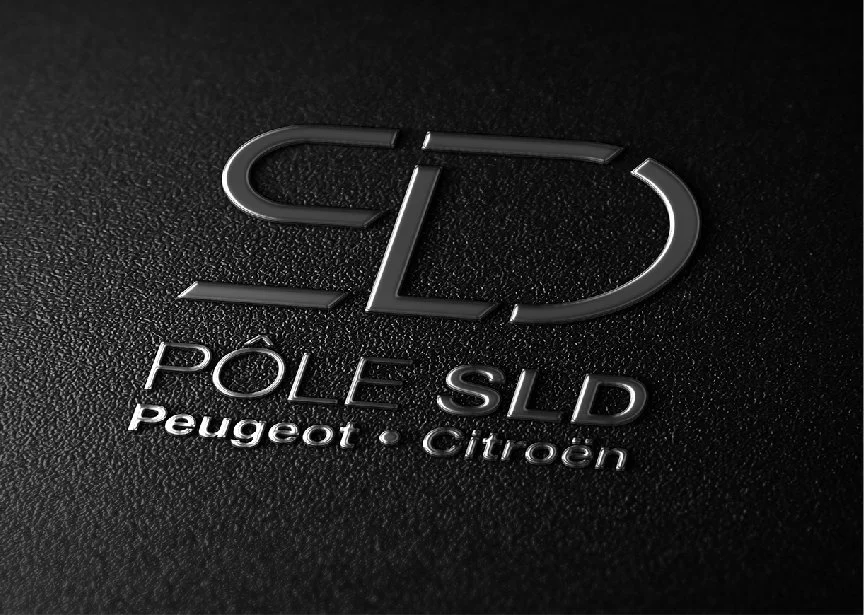 logo Pôle SLD.jpg