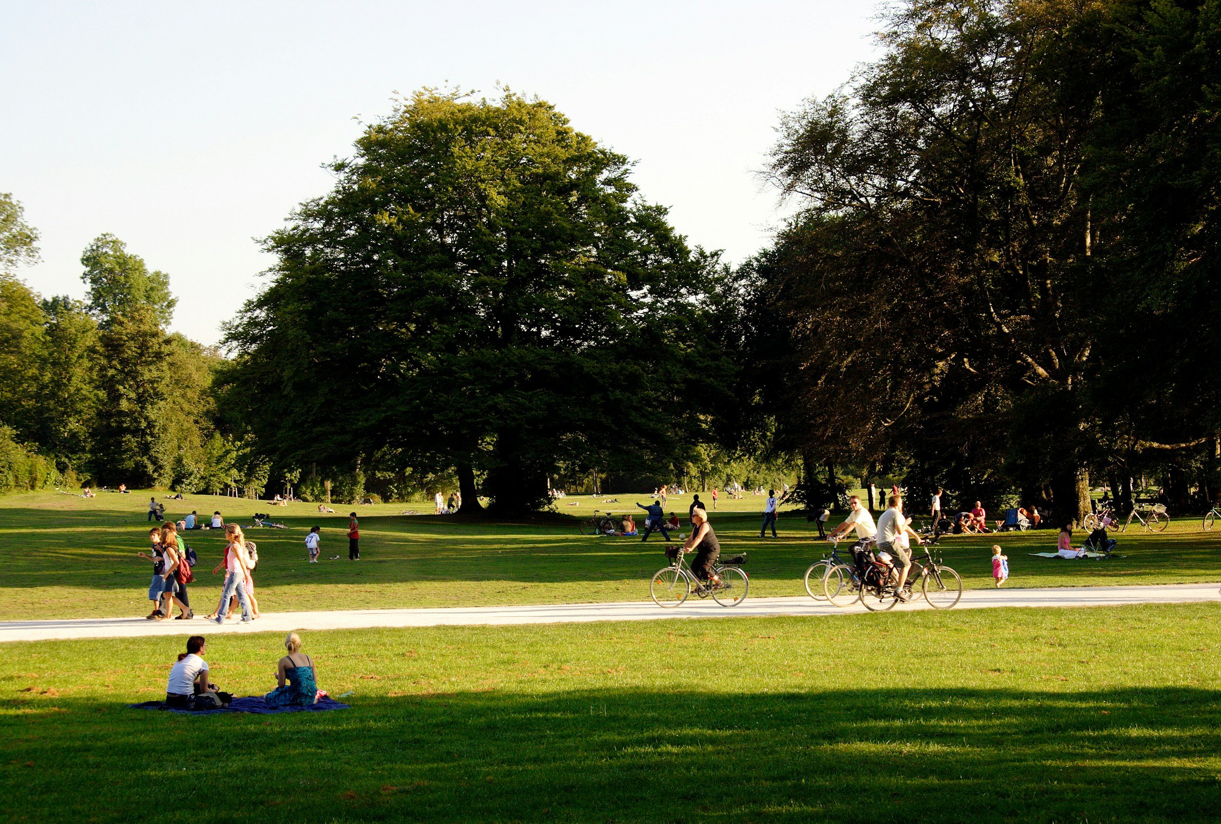 People enjoying a park with green grass and large trees, some walking, biking, and sitting on the grass, on a sunny day.