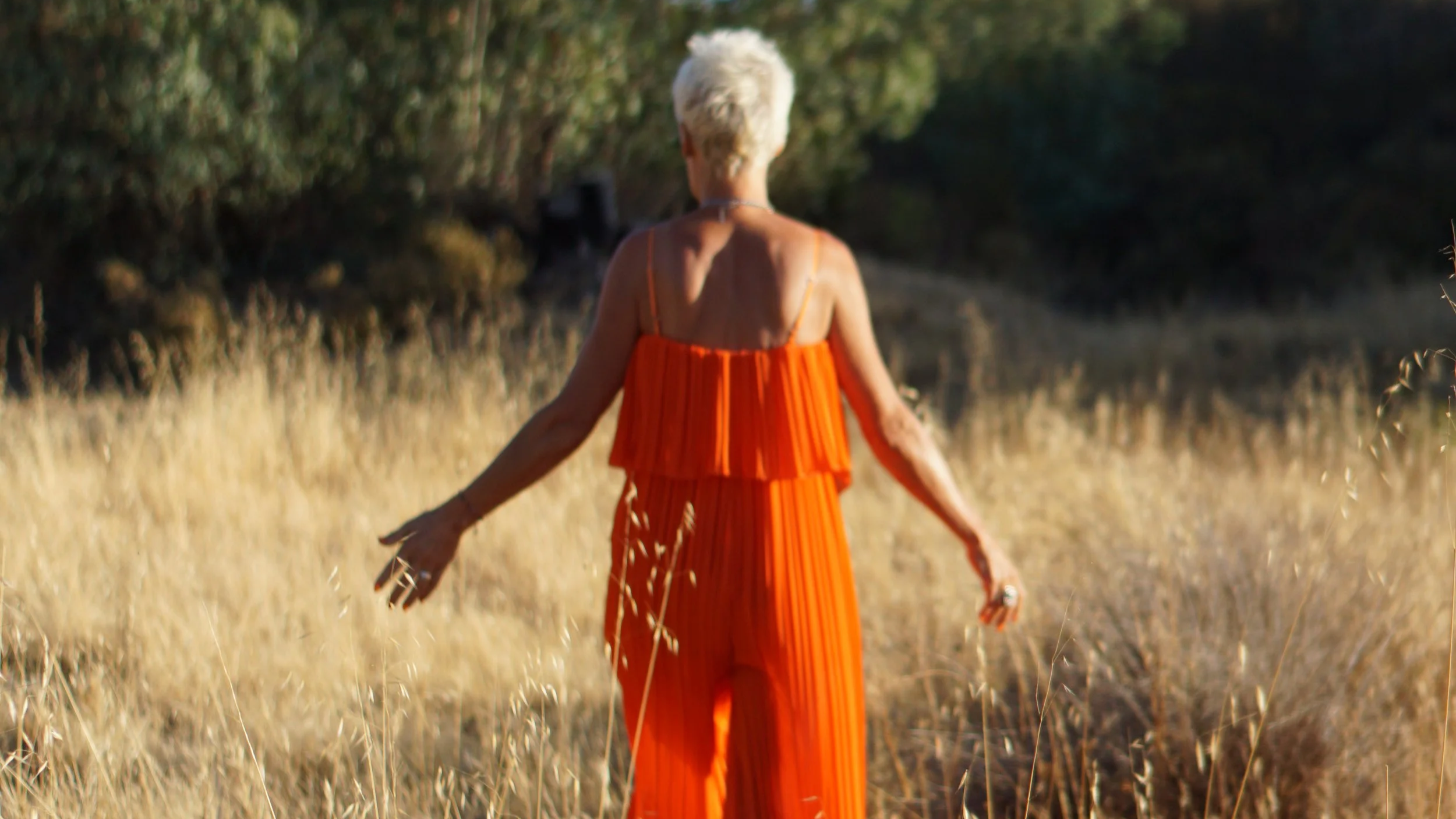 The old woman in the forest was me