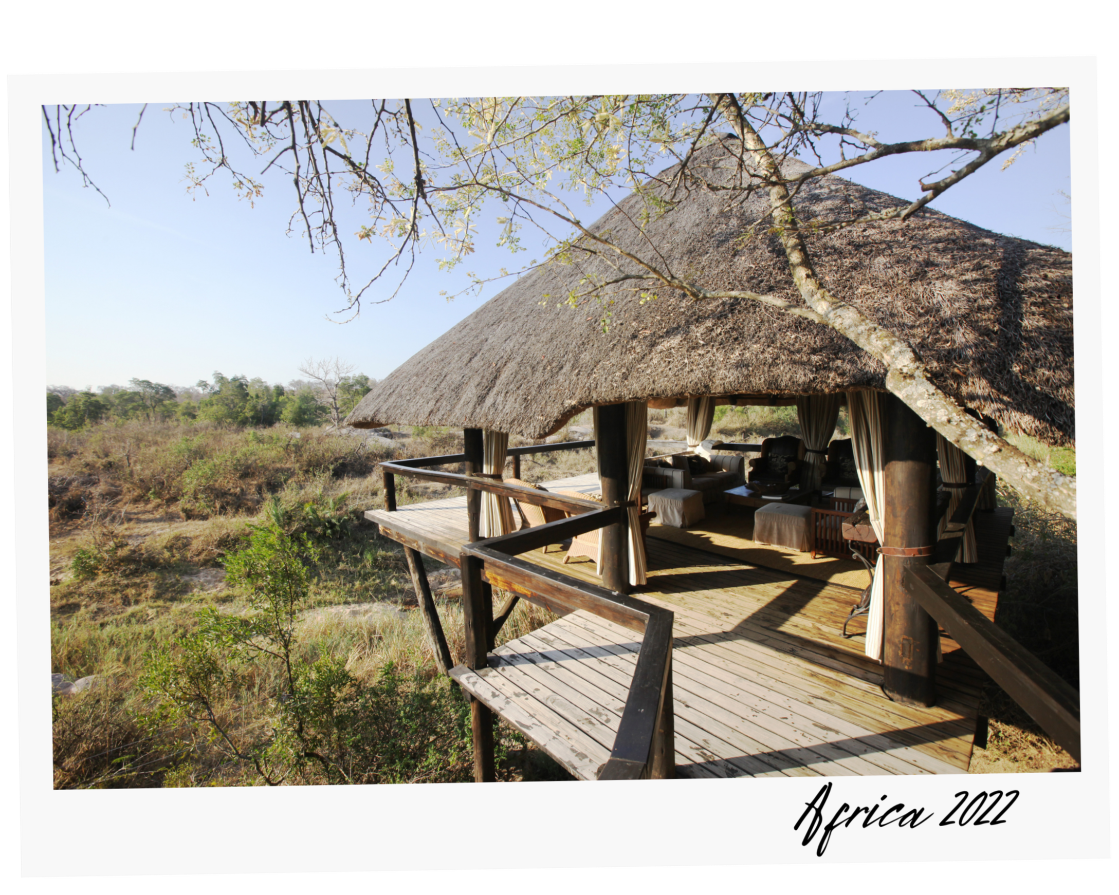 A thatched-roof hut with an outdoor seating area on a wooden deck, surrounded by trees and grassland in Africa.