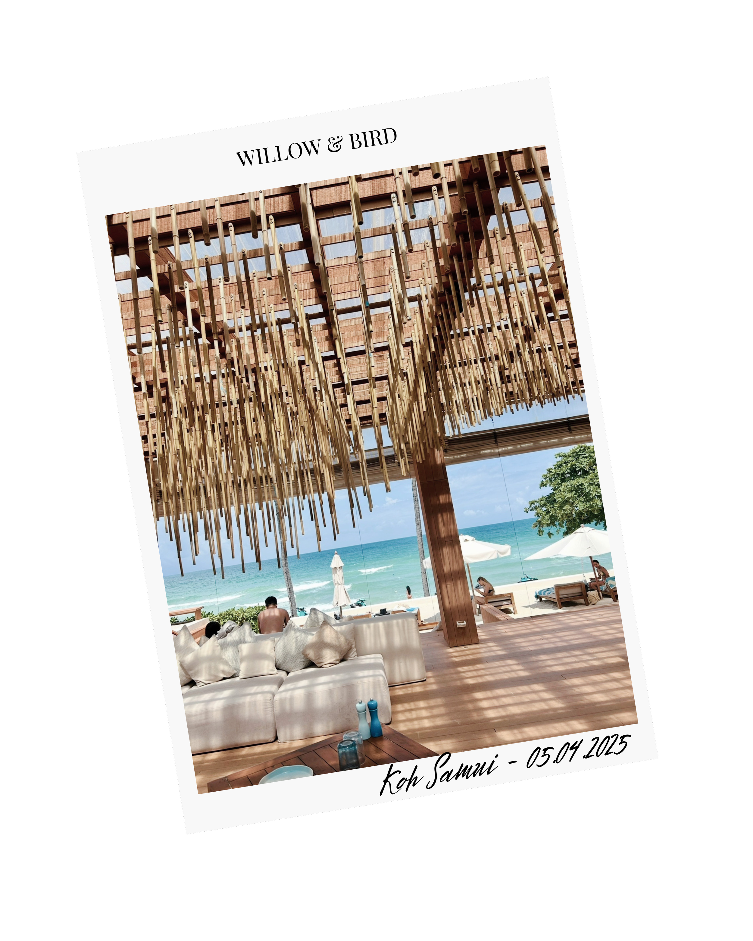 Beachside outdoor lounge area with white seating, pillows, and a view of the ocean with umbrellas. A wooden ceiling with bamboo decor hangs overhead. People are relaxing on the beach and chairs under umbrellas, with palm trees and blue sky in the background.