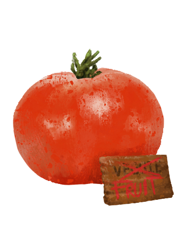 A ripe red tomato with a green stem and a small wooden sign that says 'VIXIT FRUIT.'