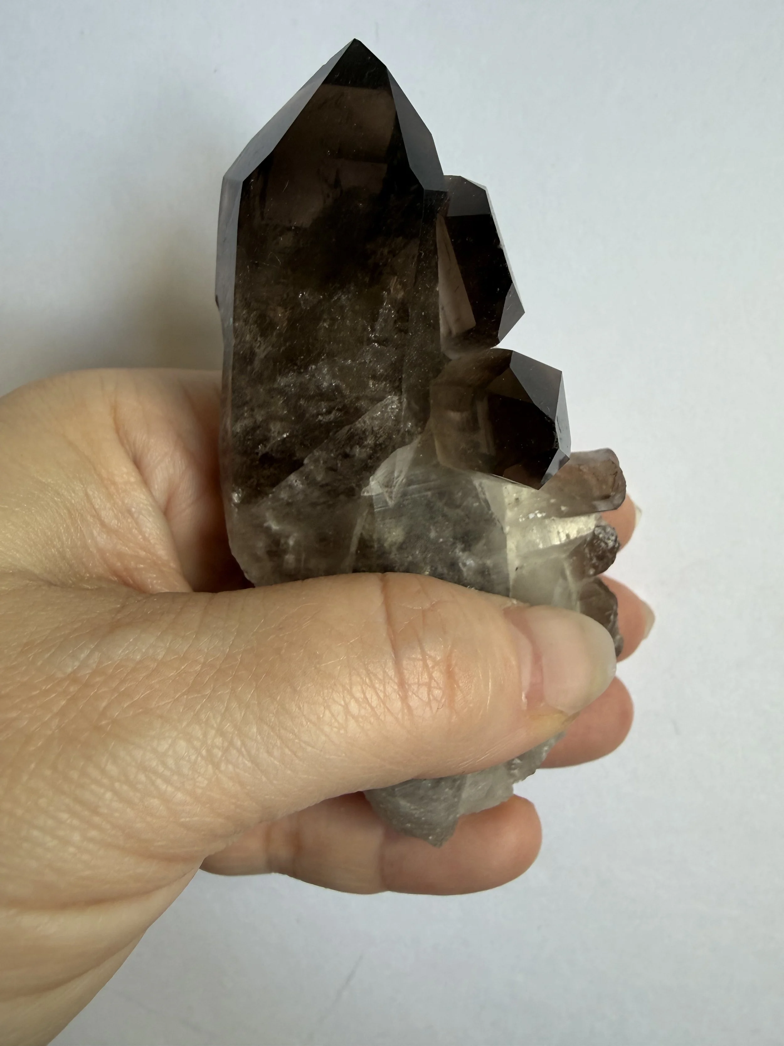 Smoky Quartz Cluster
