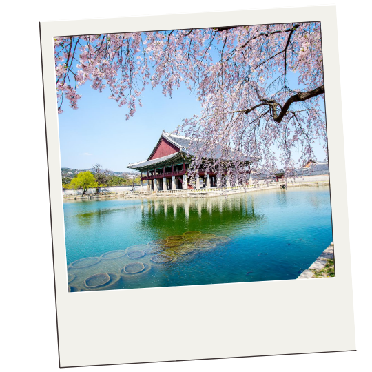 honeymoon south korea