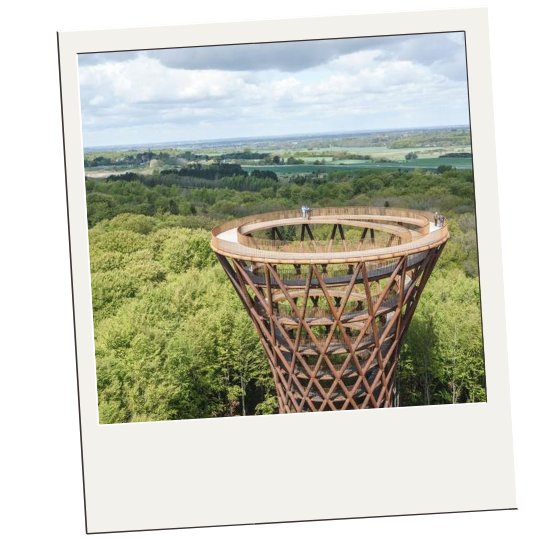 camp adventure denmark